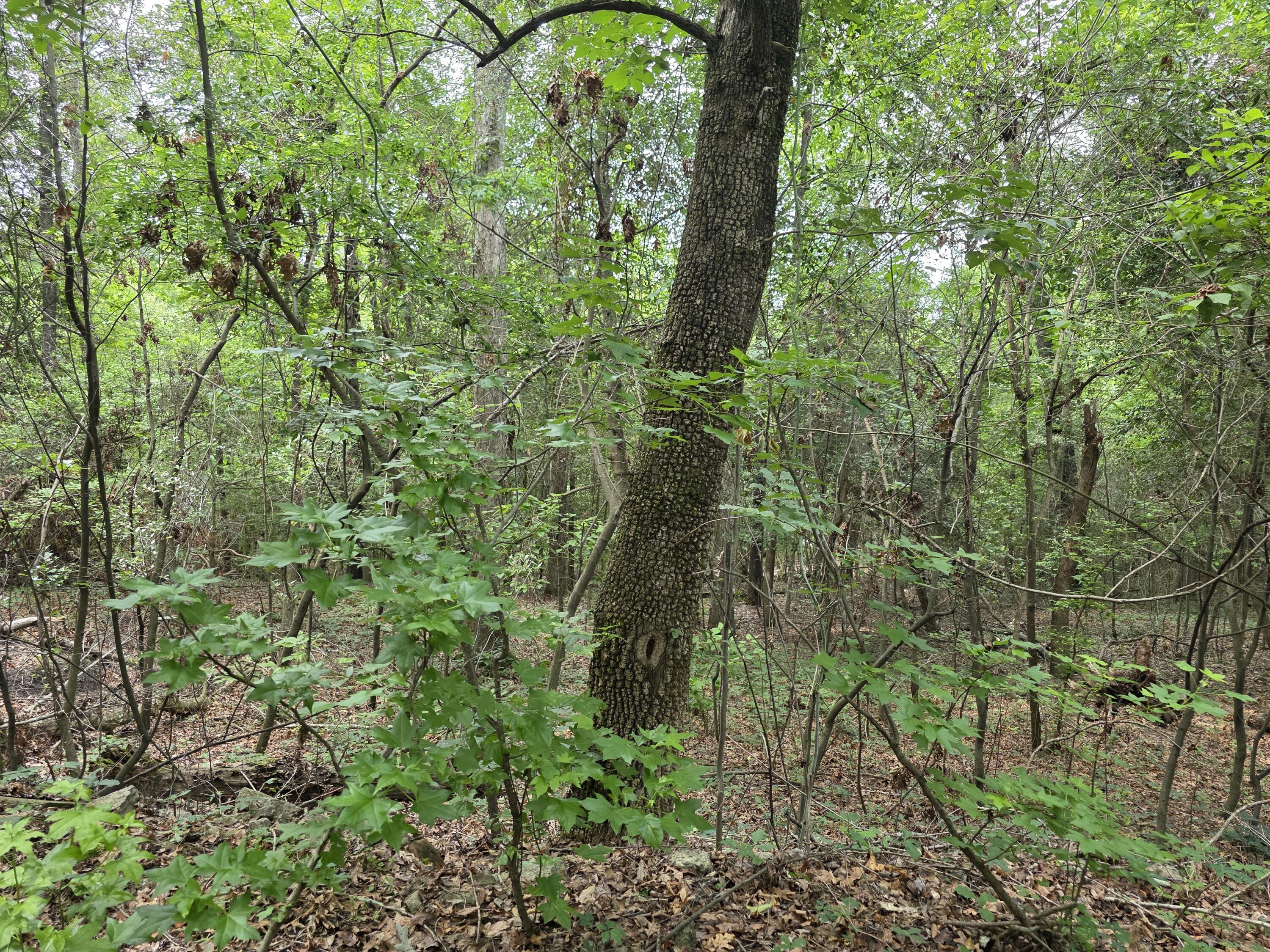 2039 Mcdade Farm Road, Hephzibah, GA, 30815