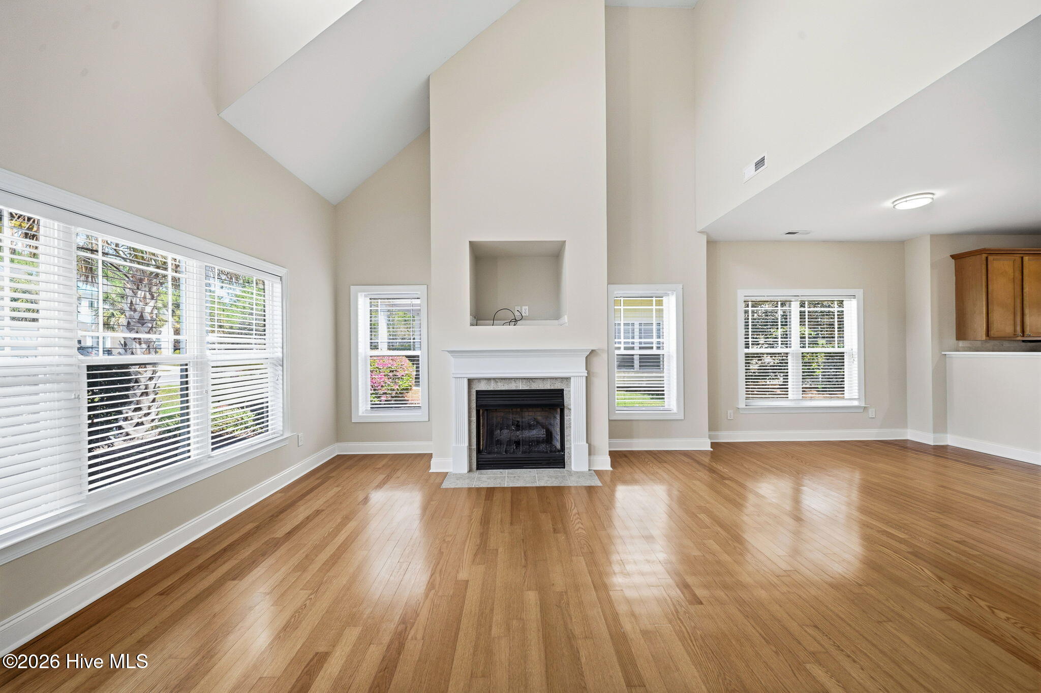 100566234 | Photo 13