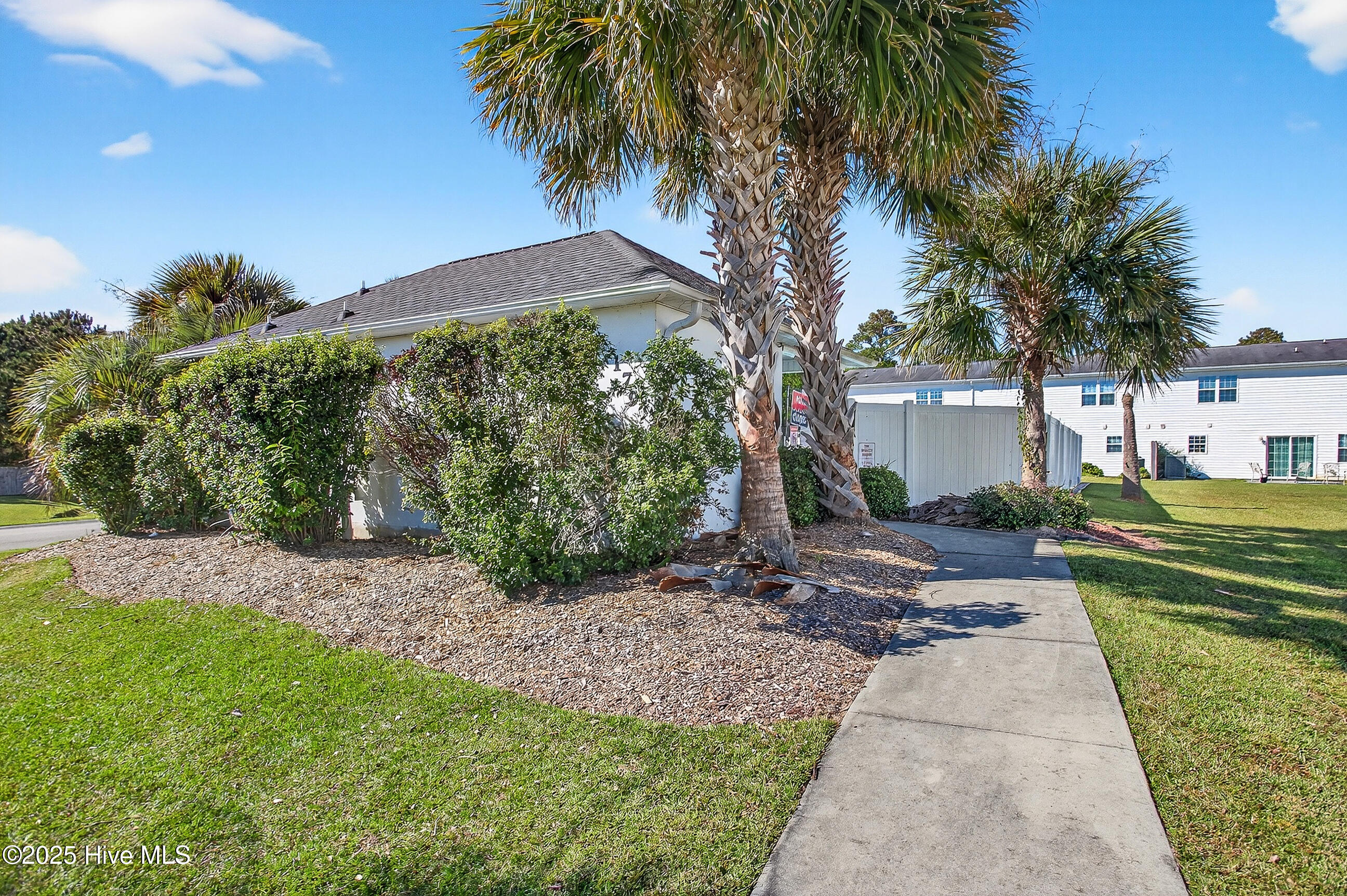 100537244 | Photo 29