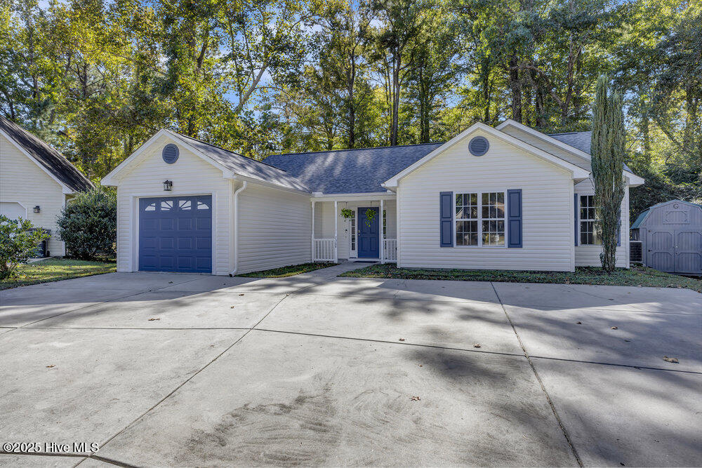 100537257 | Photo 28