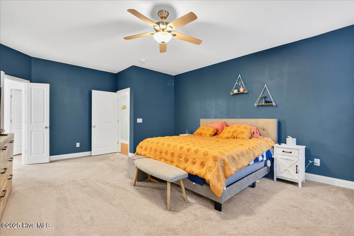 100522769 | Photo 18