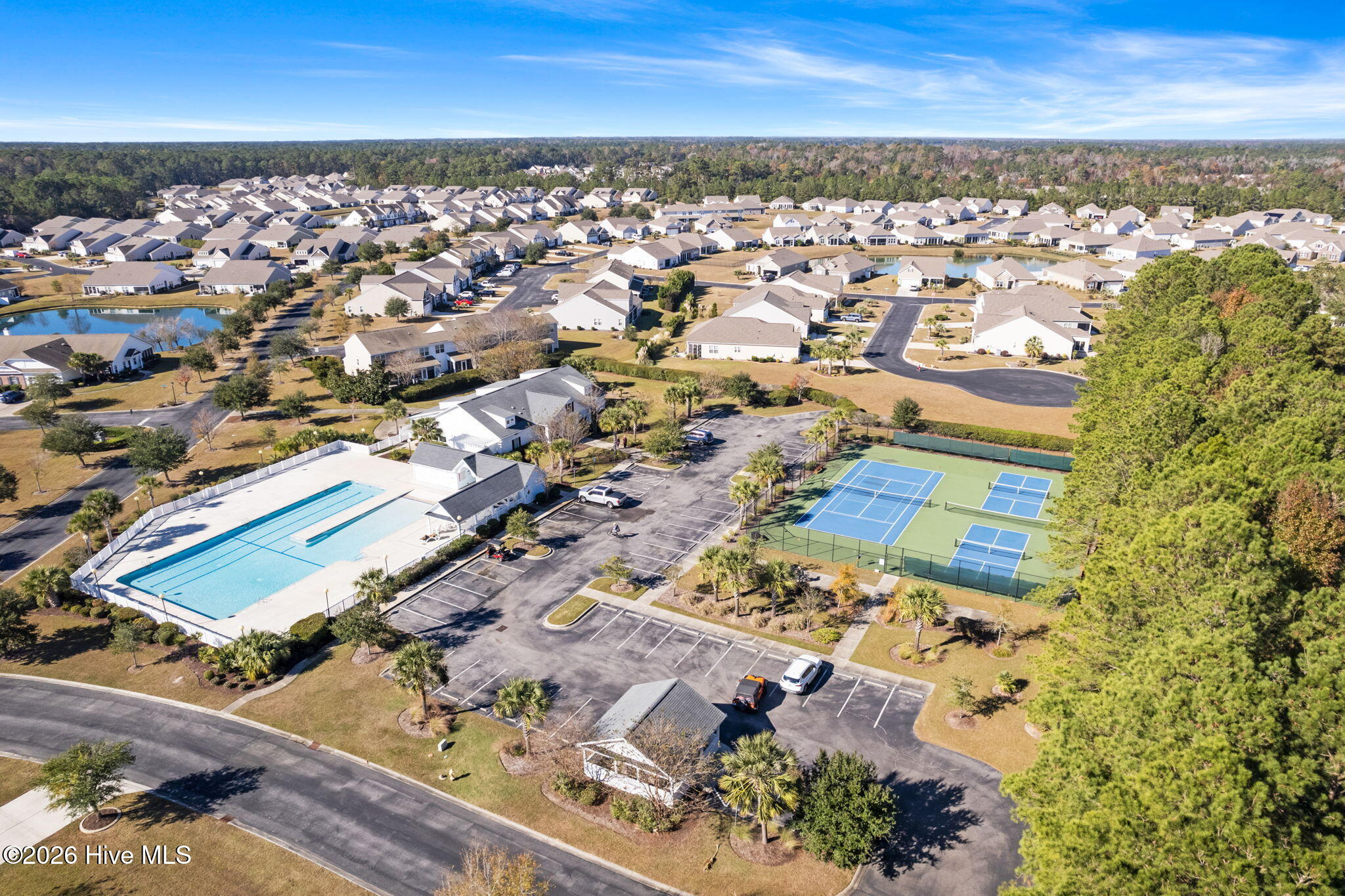 100570375 | Photo 45