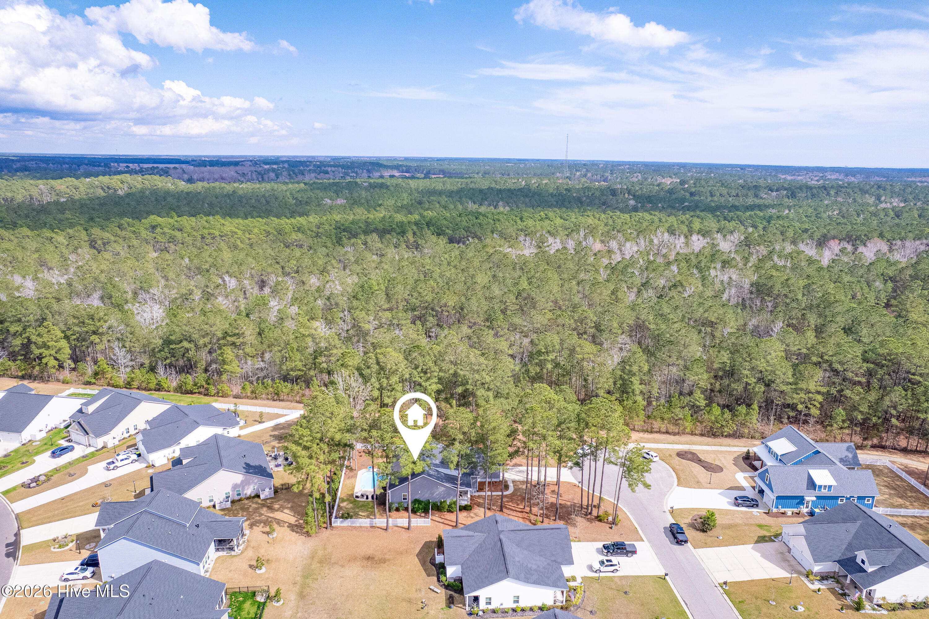 100559447 | Photo 45