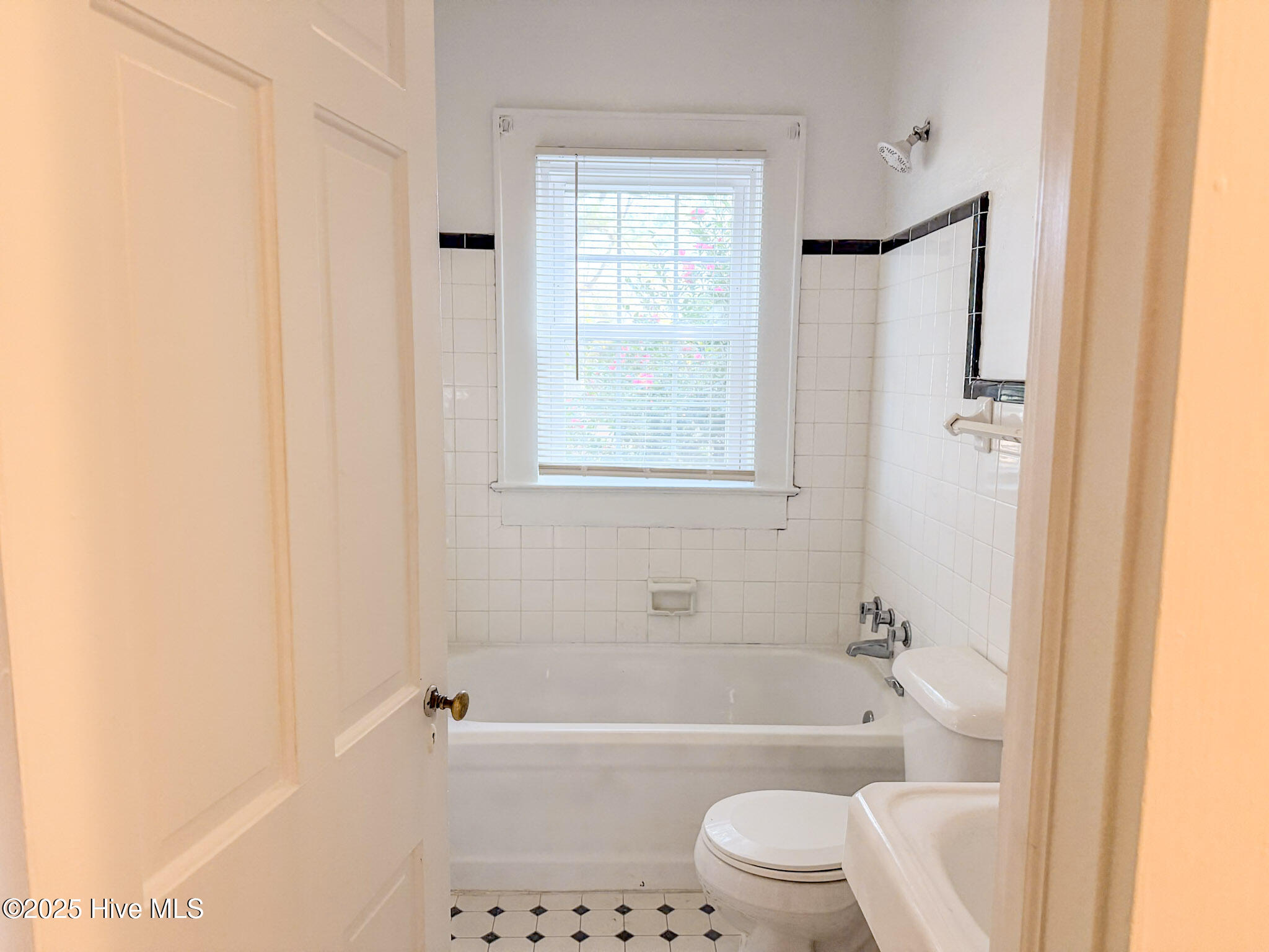 100542160 | Photo 13