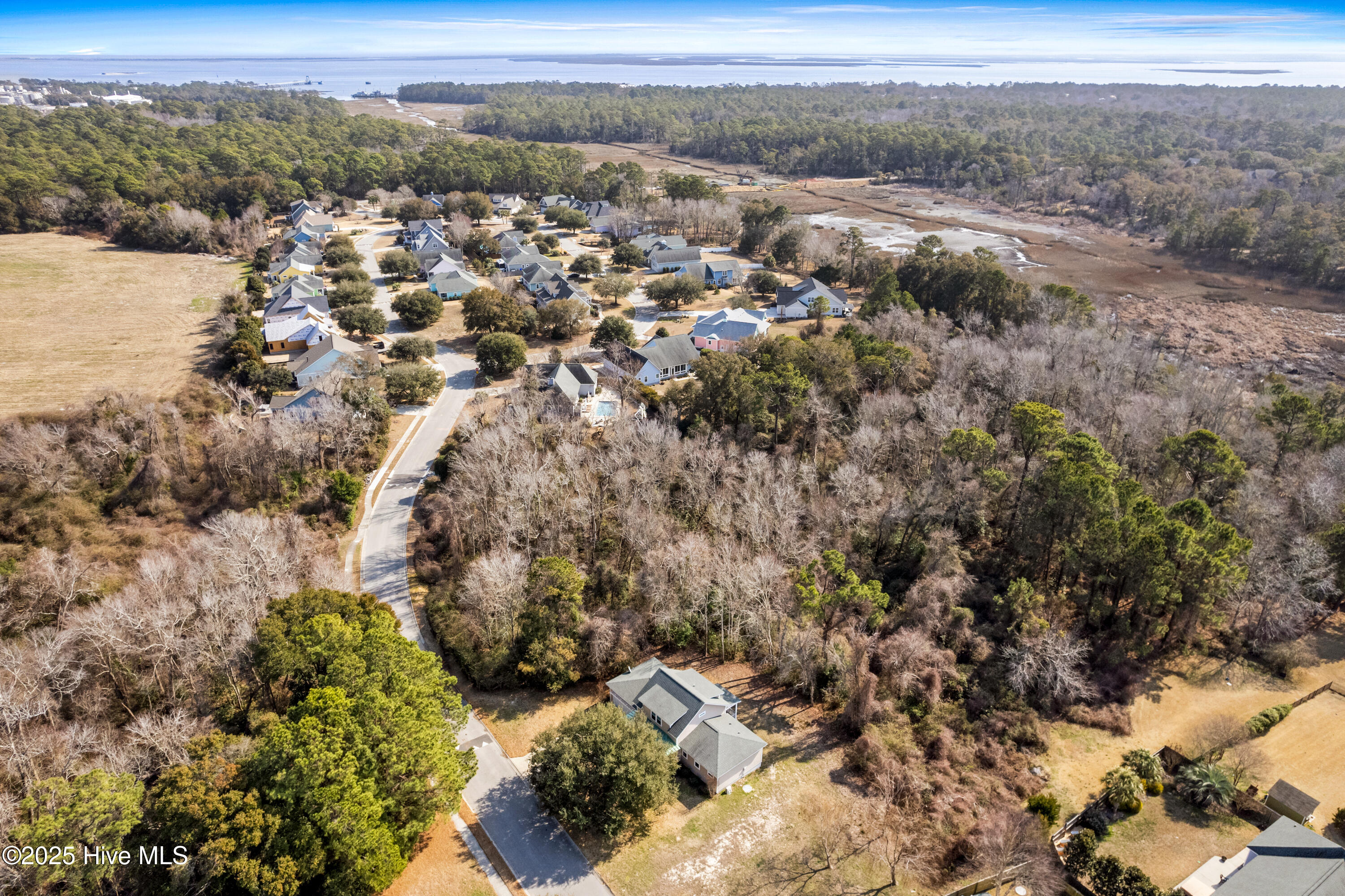 100529513 | Photo 47