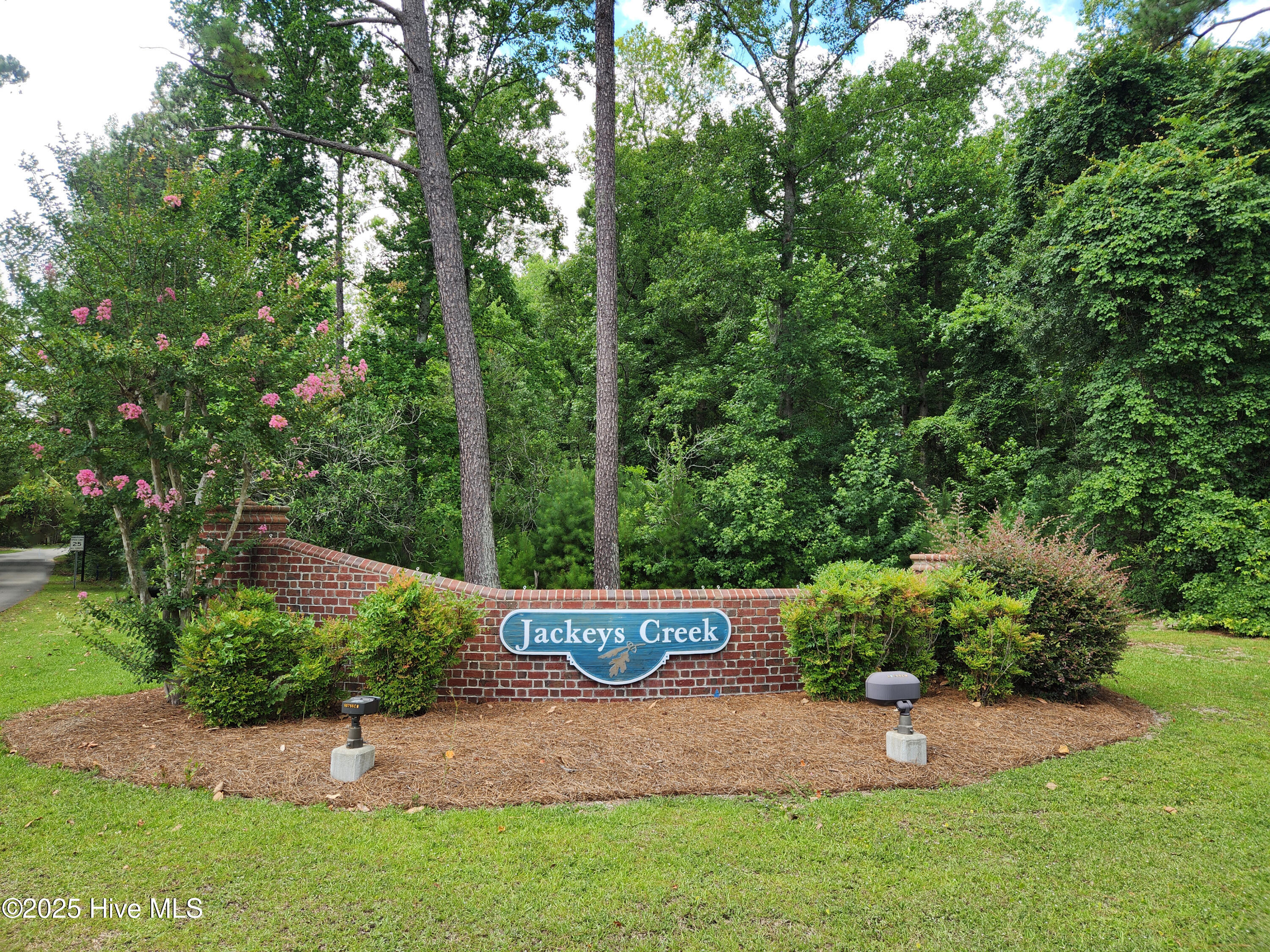 100517489 | Photo 59