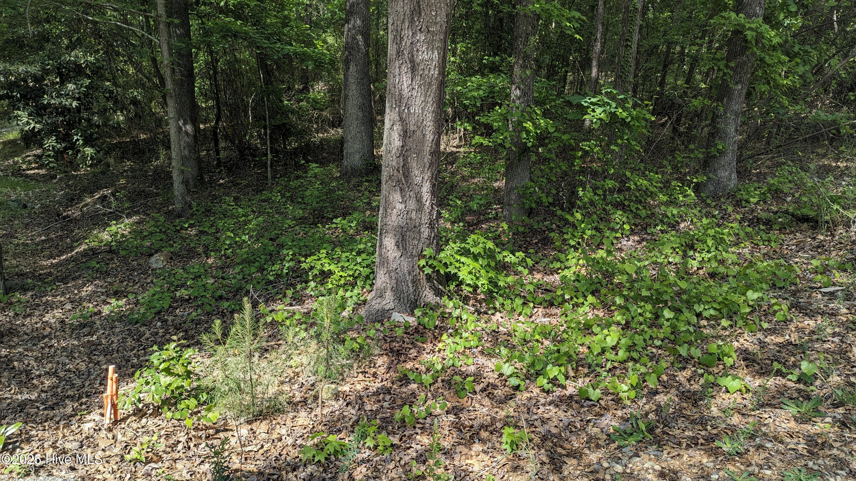 PXL_20240427_192951464