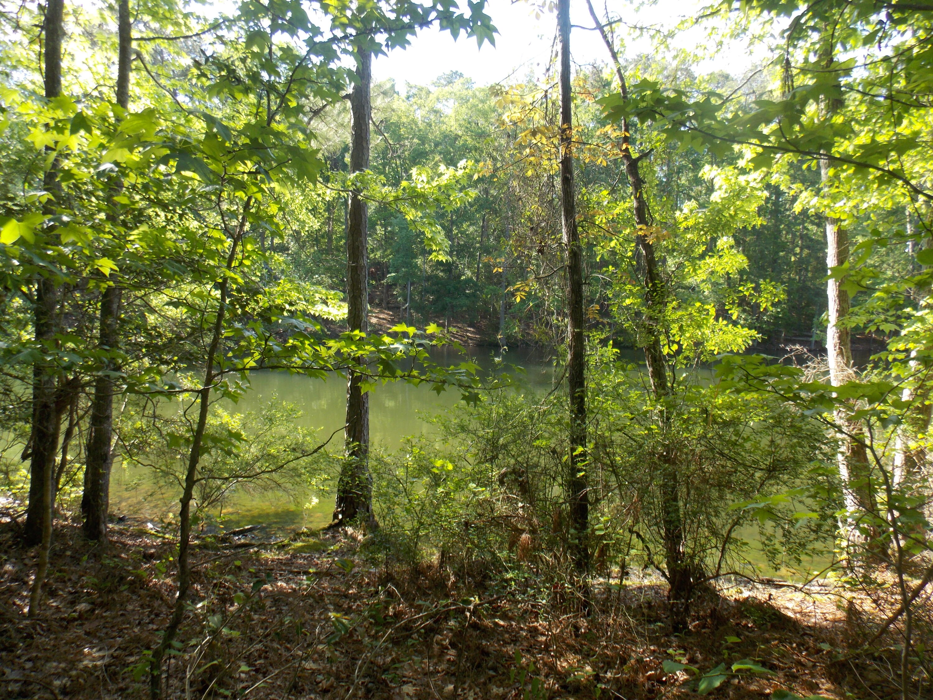 13 RIVERVIEW CT, Lincolnton, GA, 30817