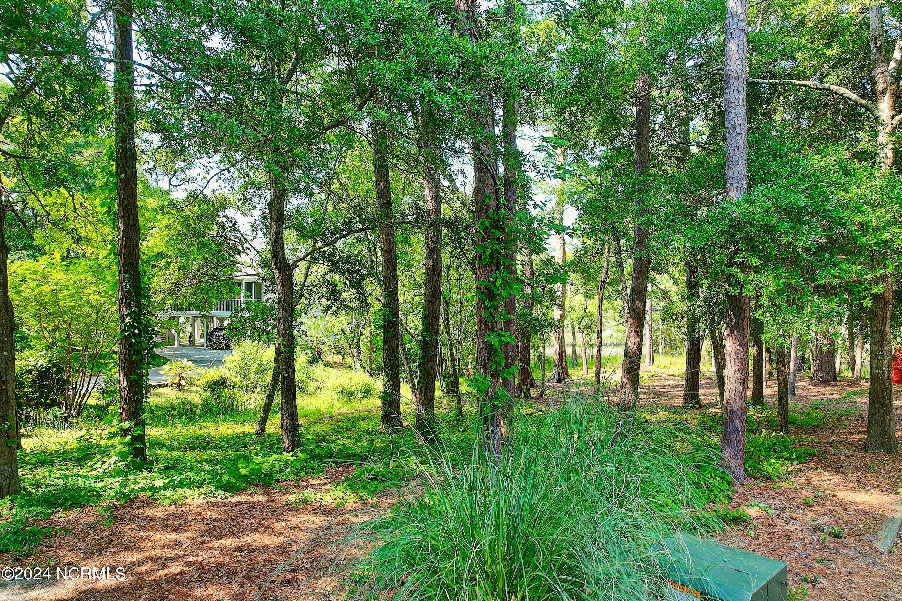 Homes for sale in Shallotte, NC | 1805 Egret St Sw, Shallotte, NC 28470 | MLS# 100527366