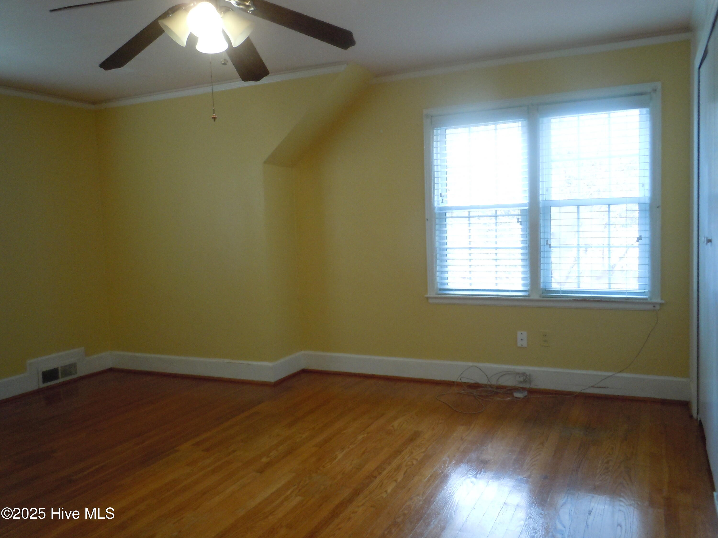 100536293 | Photo 35