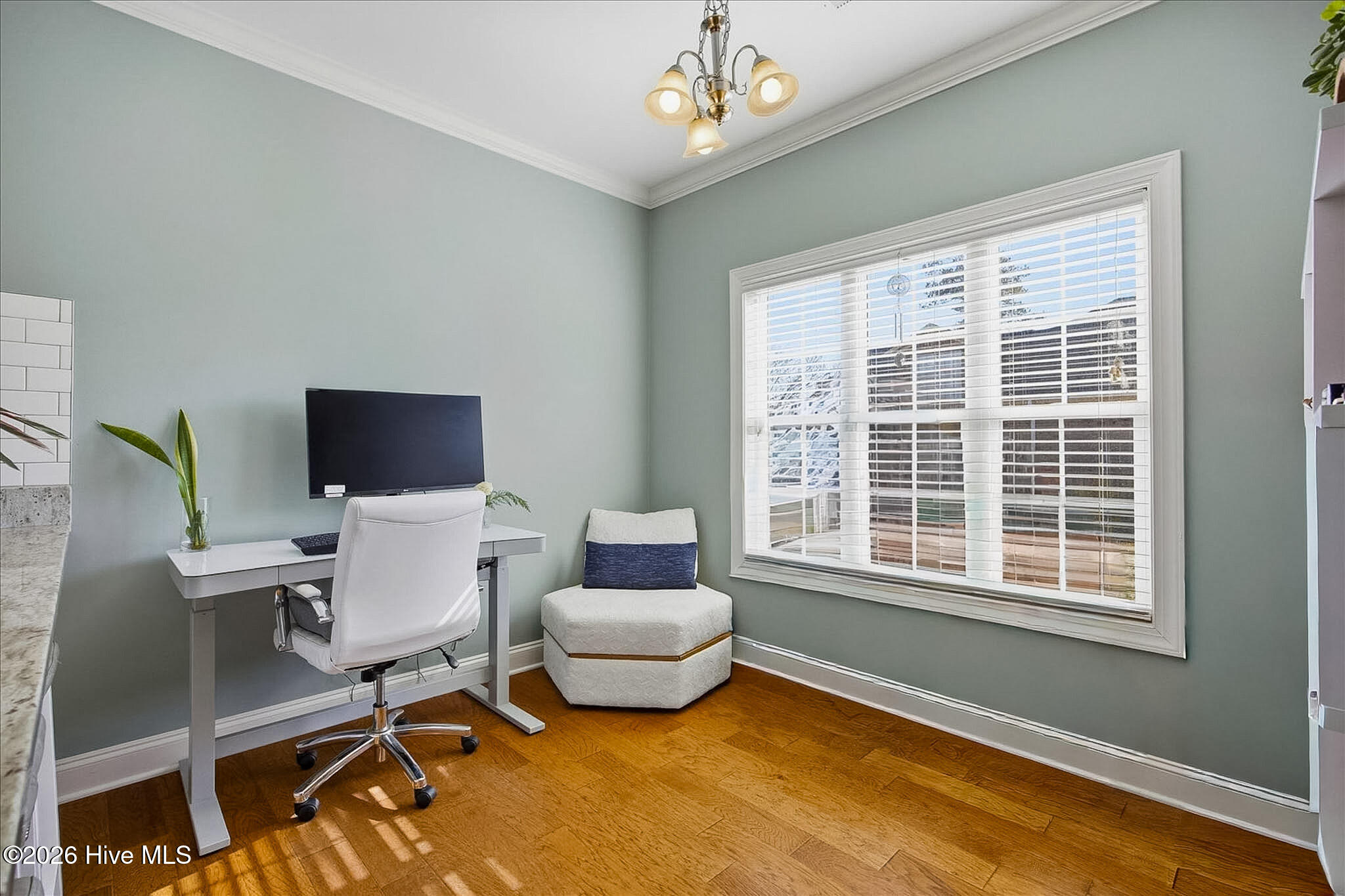 100554989 | Photo 15