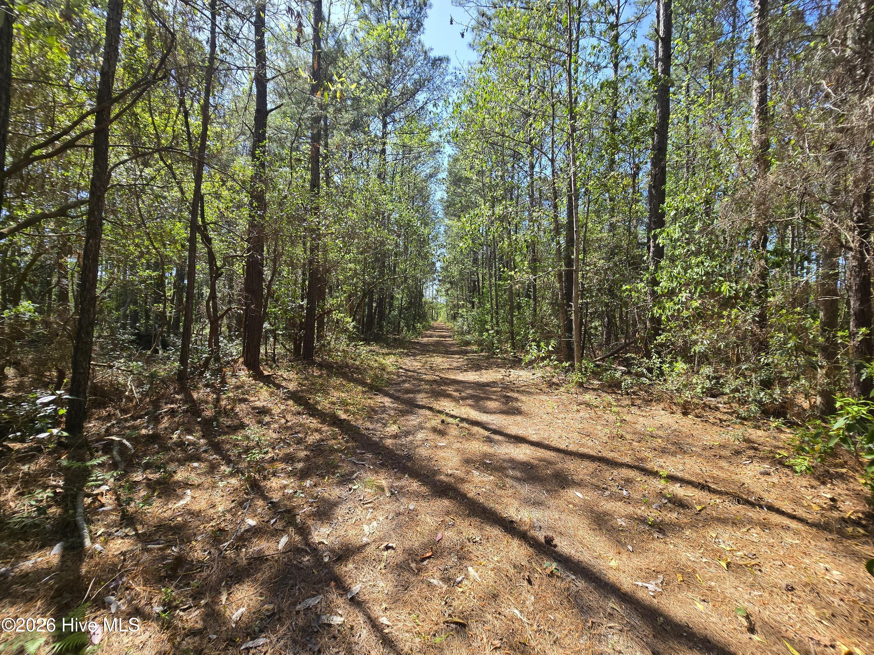 Lot B-12 Renee Drive, Hampstead, NC, 28443
