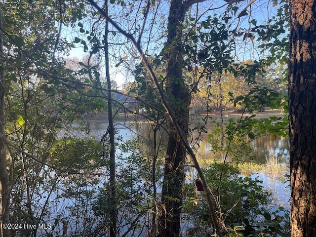 408 Lake Pines Drive, La Grange, NC, 28551