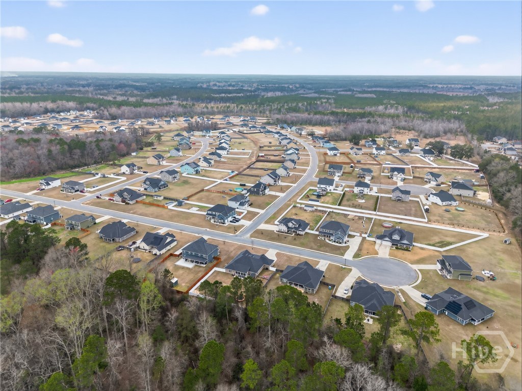 356 Palmer Place Lane NE, Ludowici, GA 31316 Listing Photo  47
