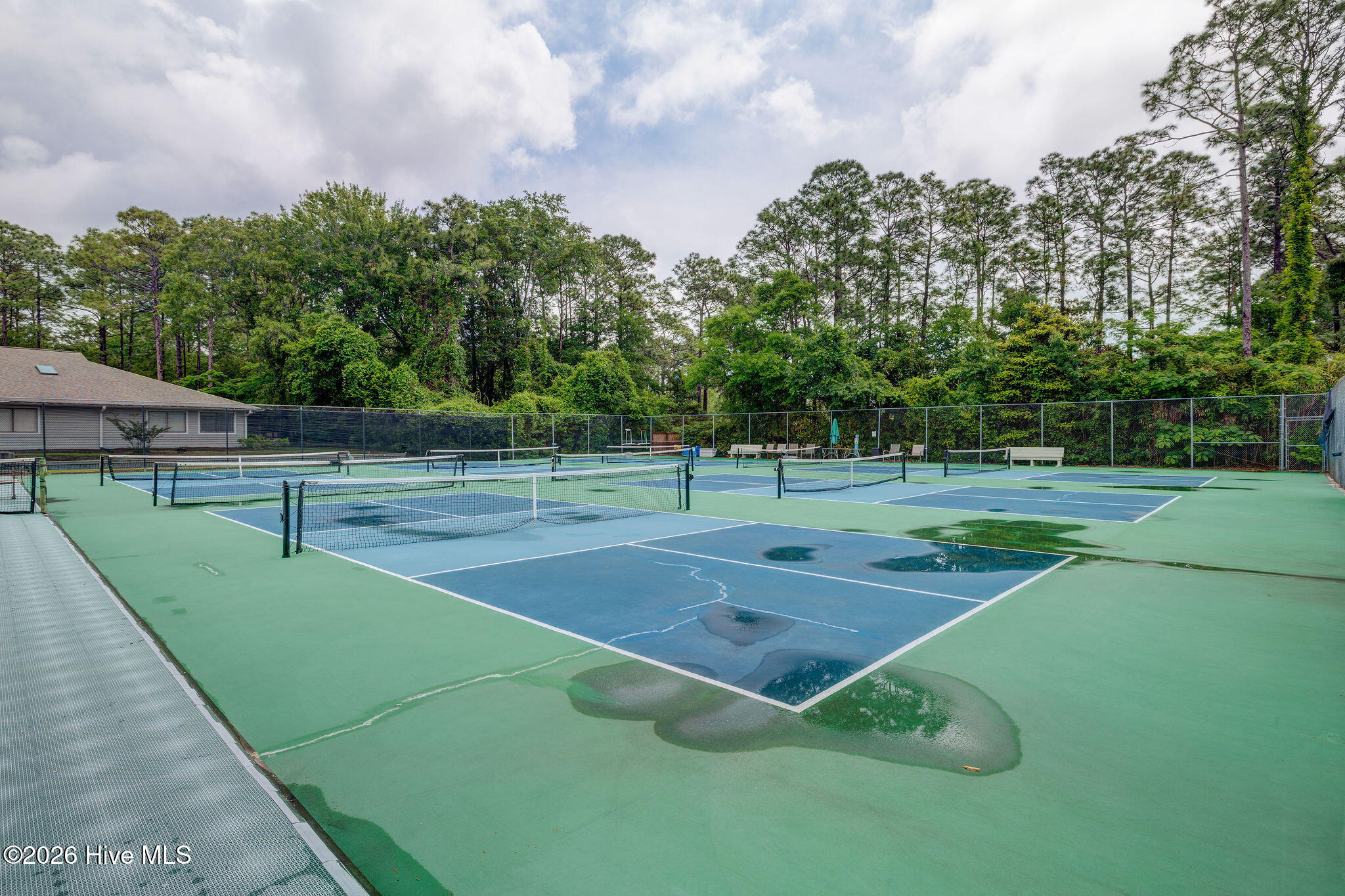 100563726 | Photo 51