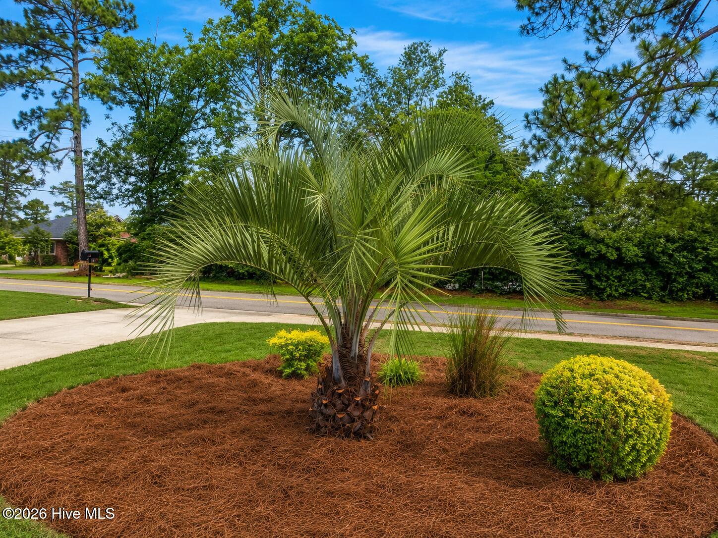 3rd image of 3180 Wheeler Rd, Augusta, GA 30909 | MLS# 100575260