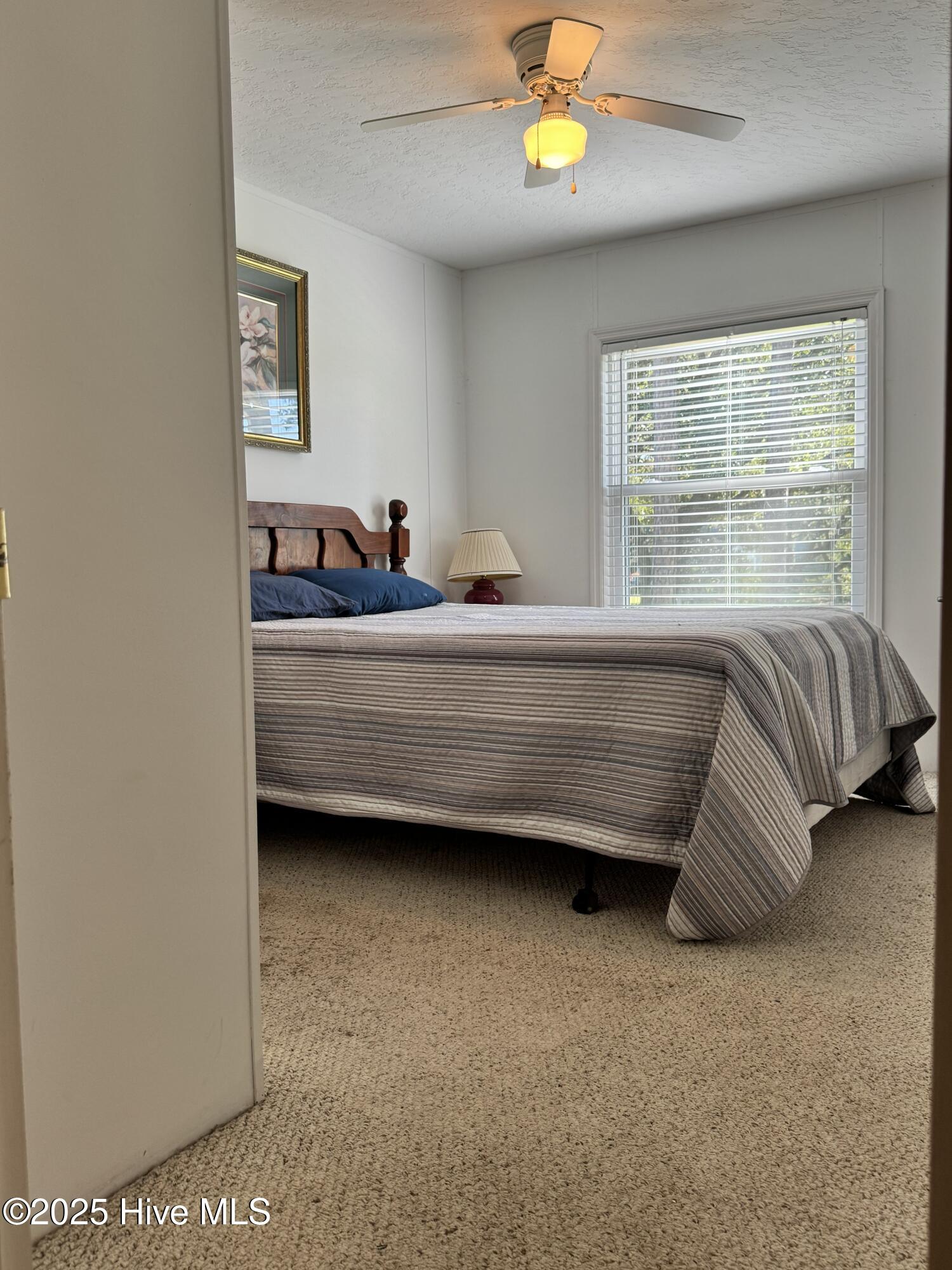 100538236 | Photo 32