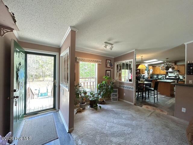 100566420 | Photo 26