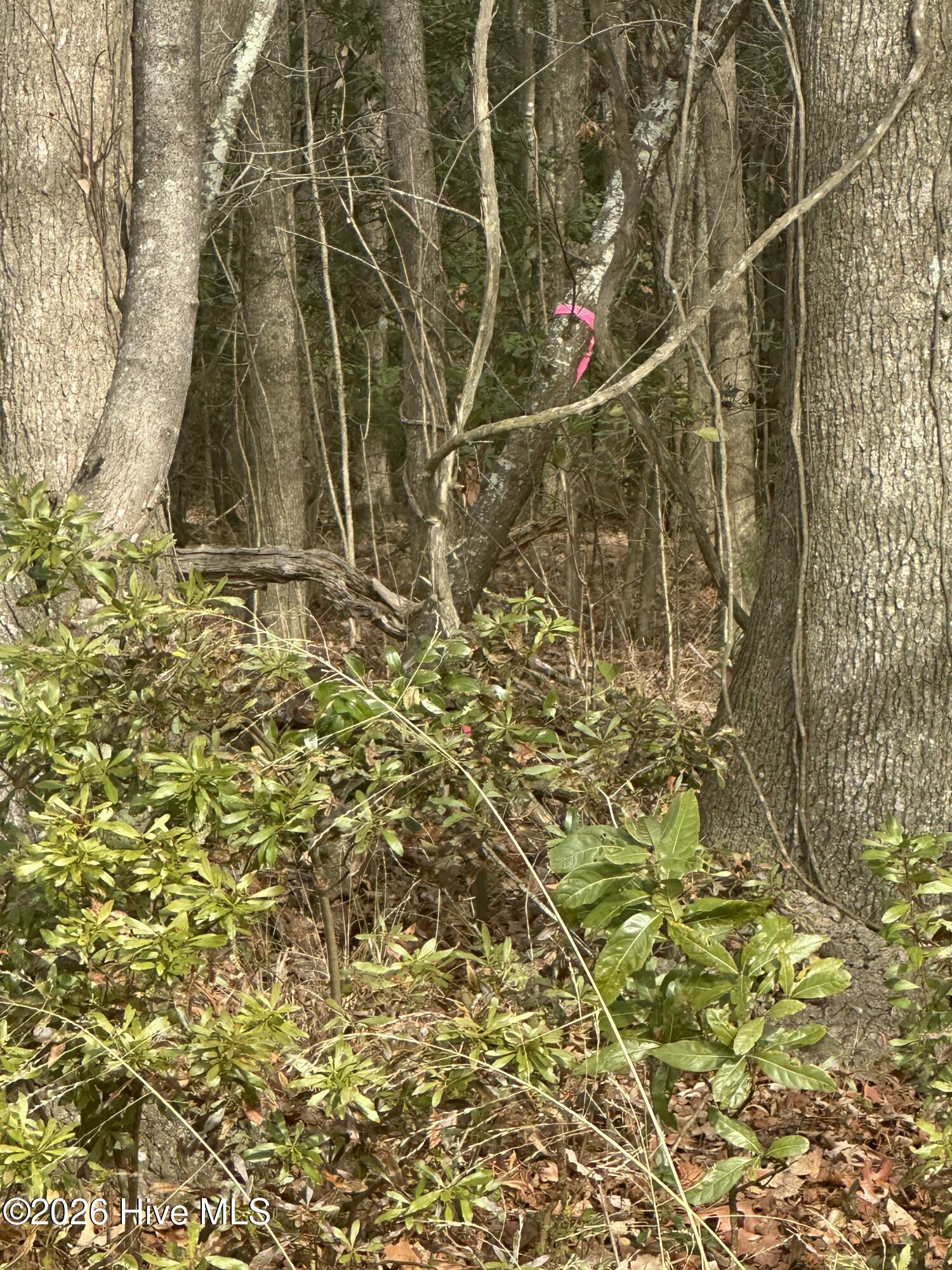 Homes for sale in Jarvisburg, NC | 2 Fisher Landing Rd, Jarvisburg, NC 27947 | MLS# 100547245