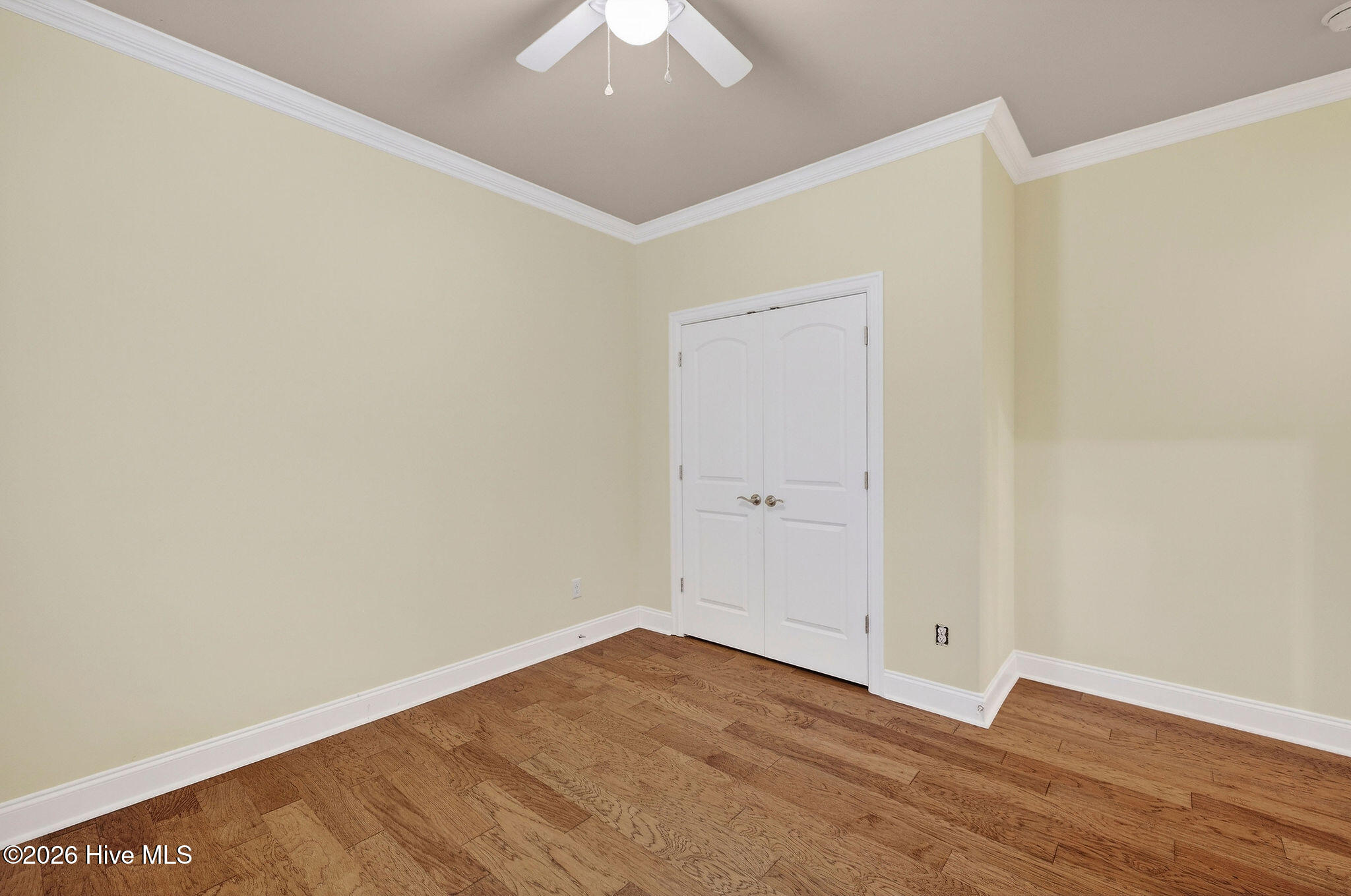 100557341 | Photo 28