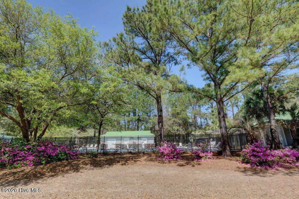 100558547 | Photo 62