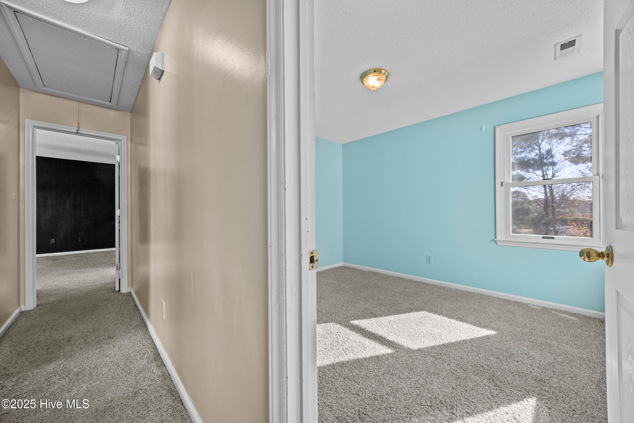 100545439 | Photo 19