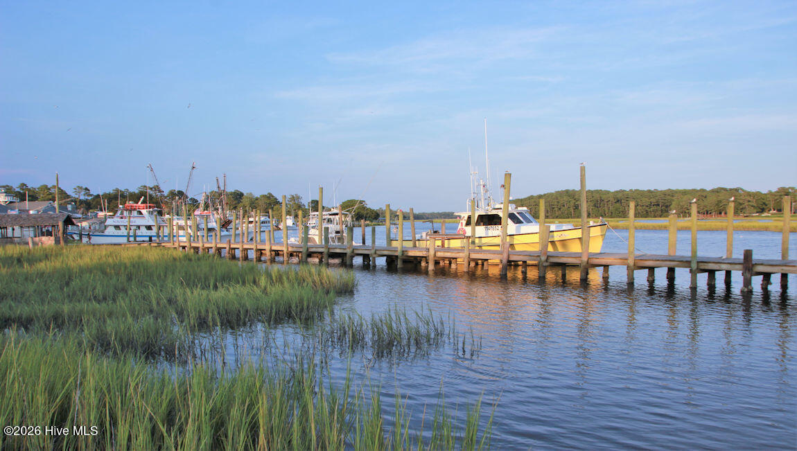 100558008 | Photo 18