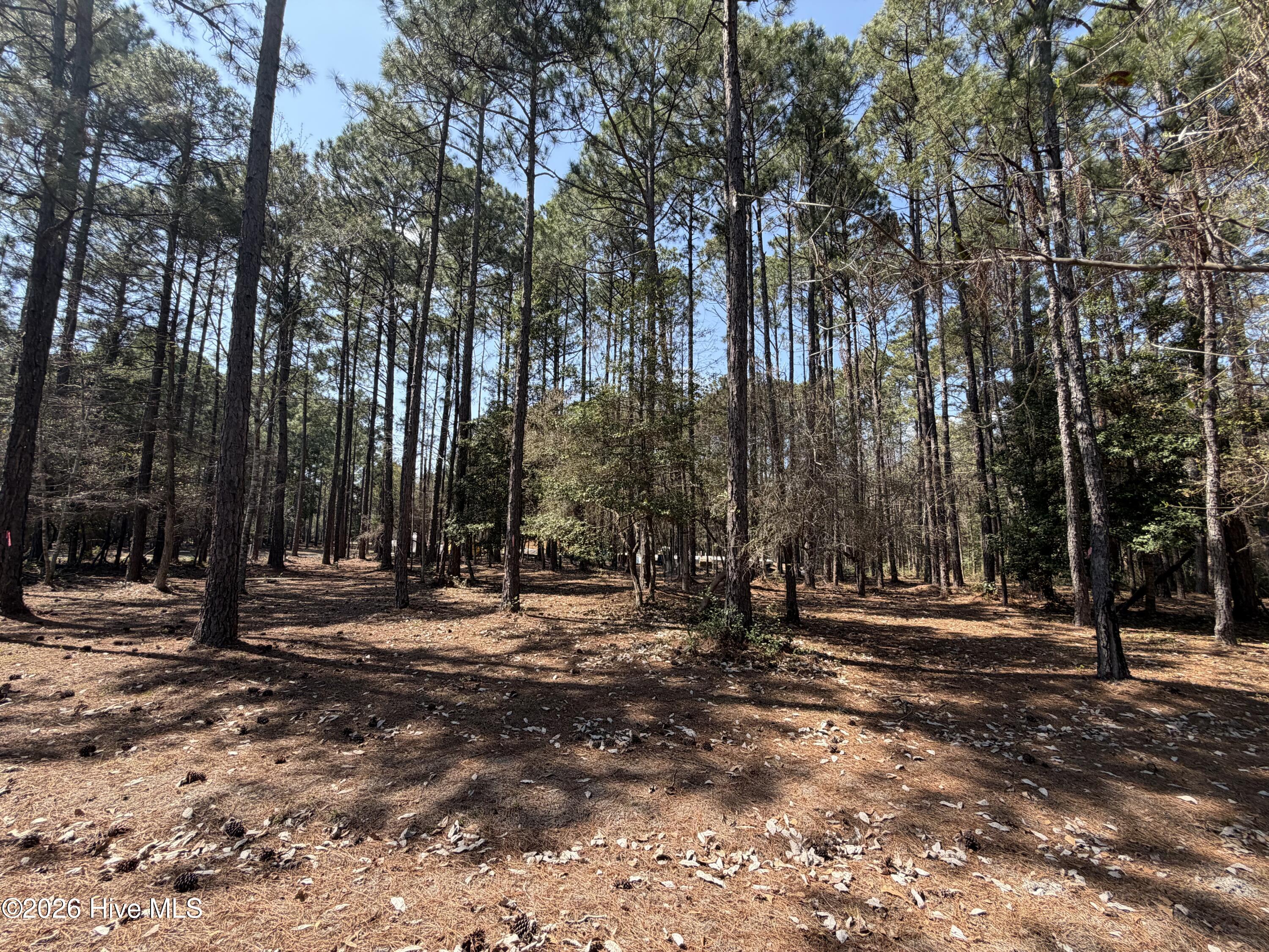 6786 Holton Place, Ocean Isle Beach, NC, 28469