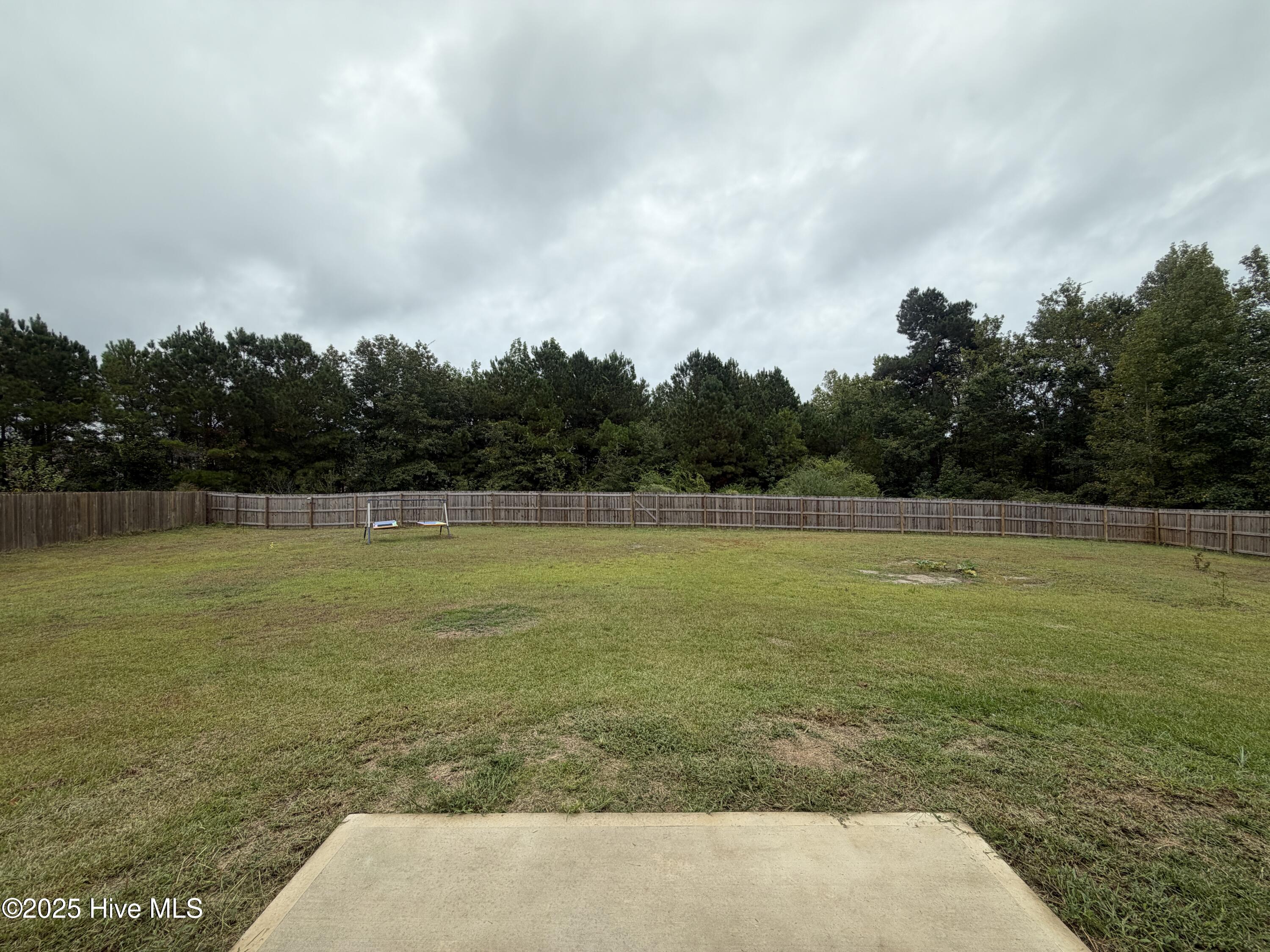 100528835 | Photo 25