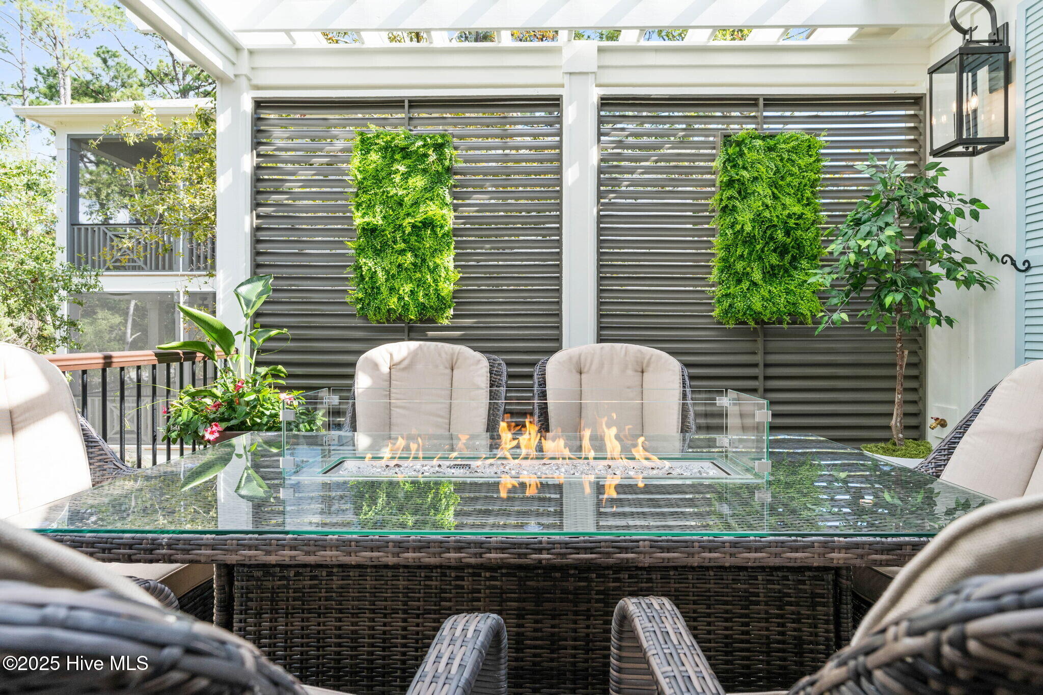 100516902 | Photo 85