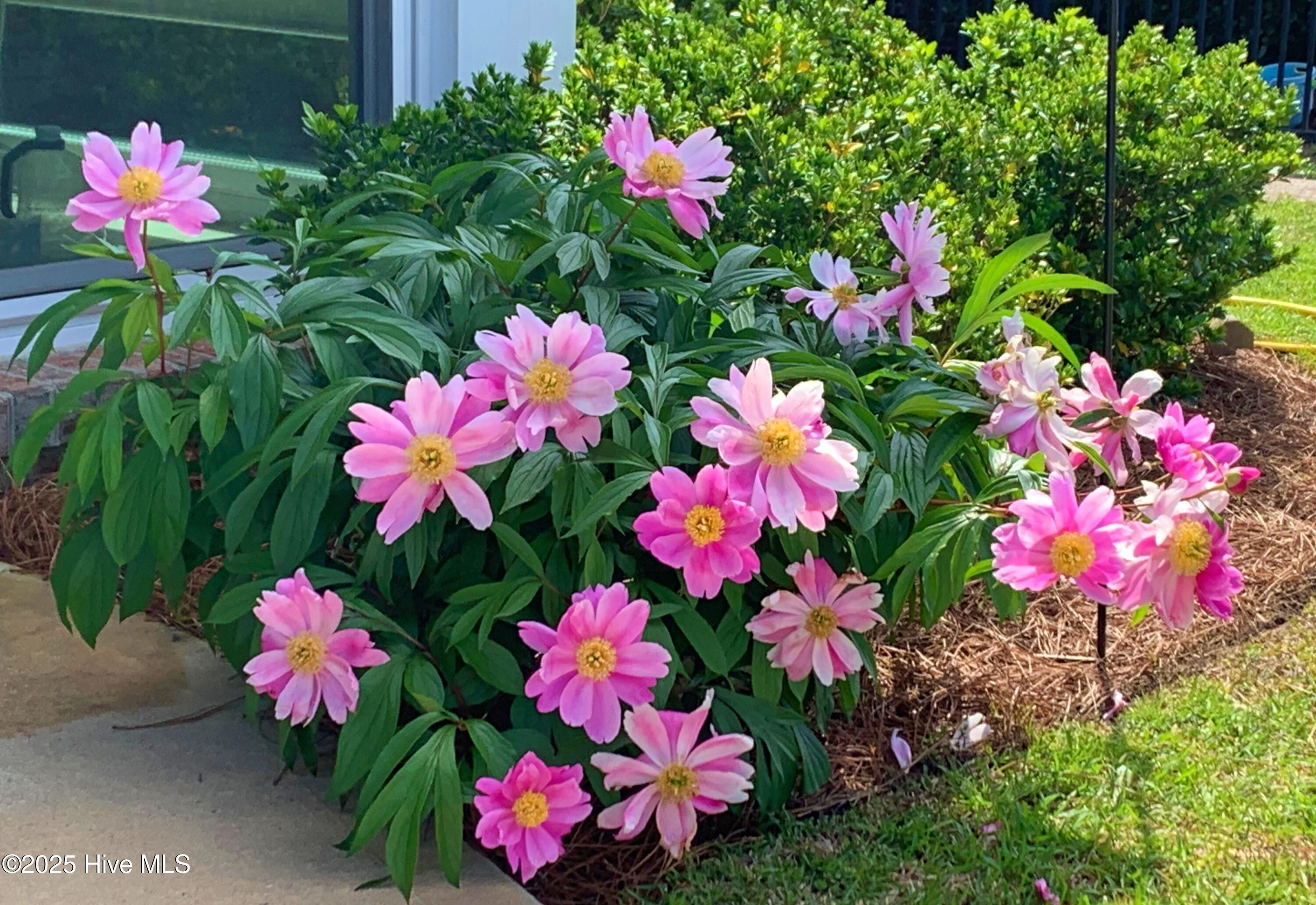 100534763 | Photo 46