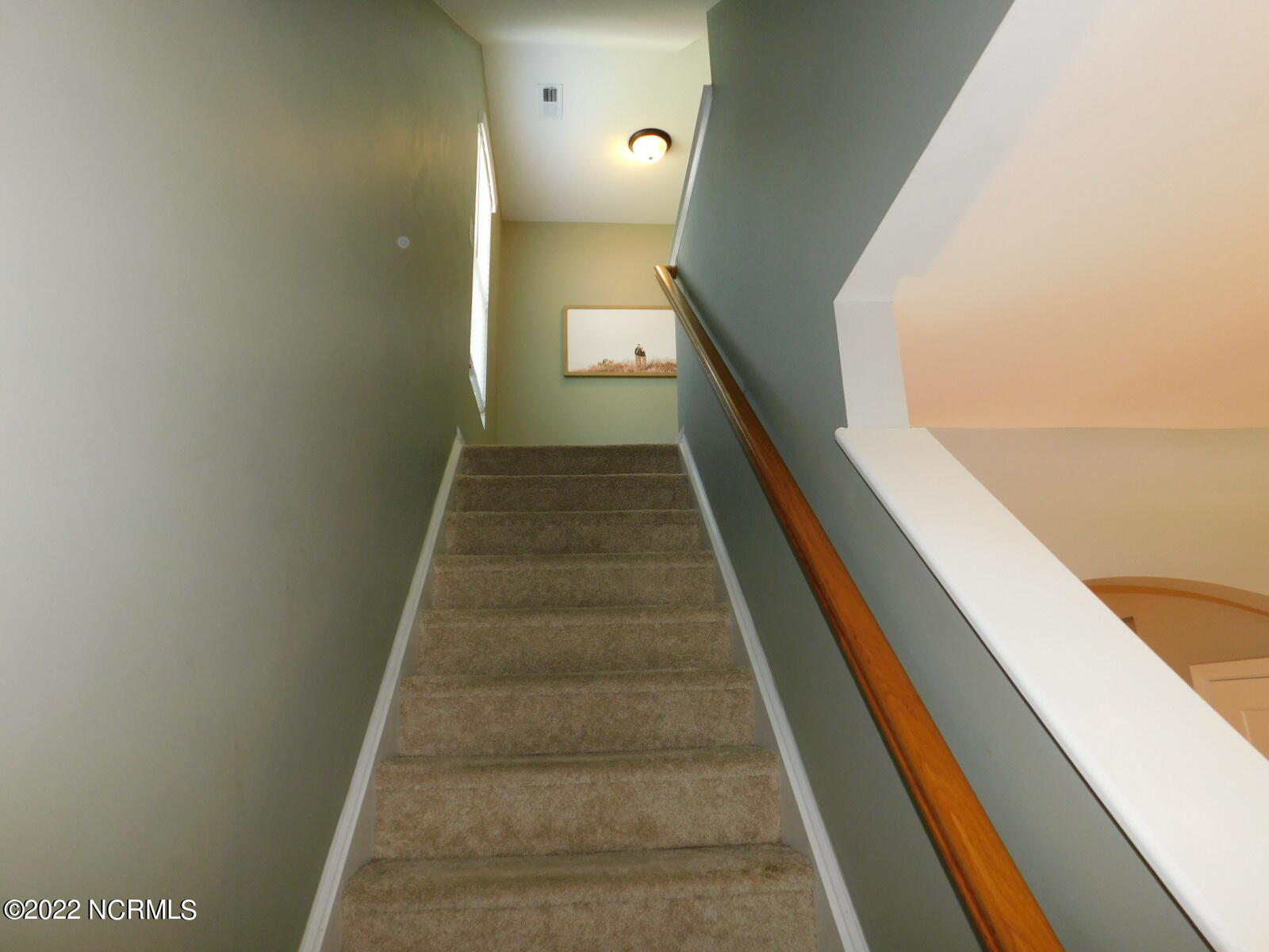 100557671 | Photo 11