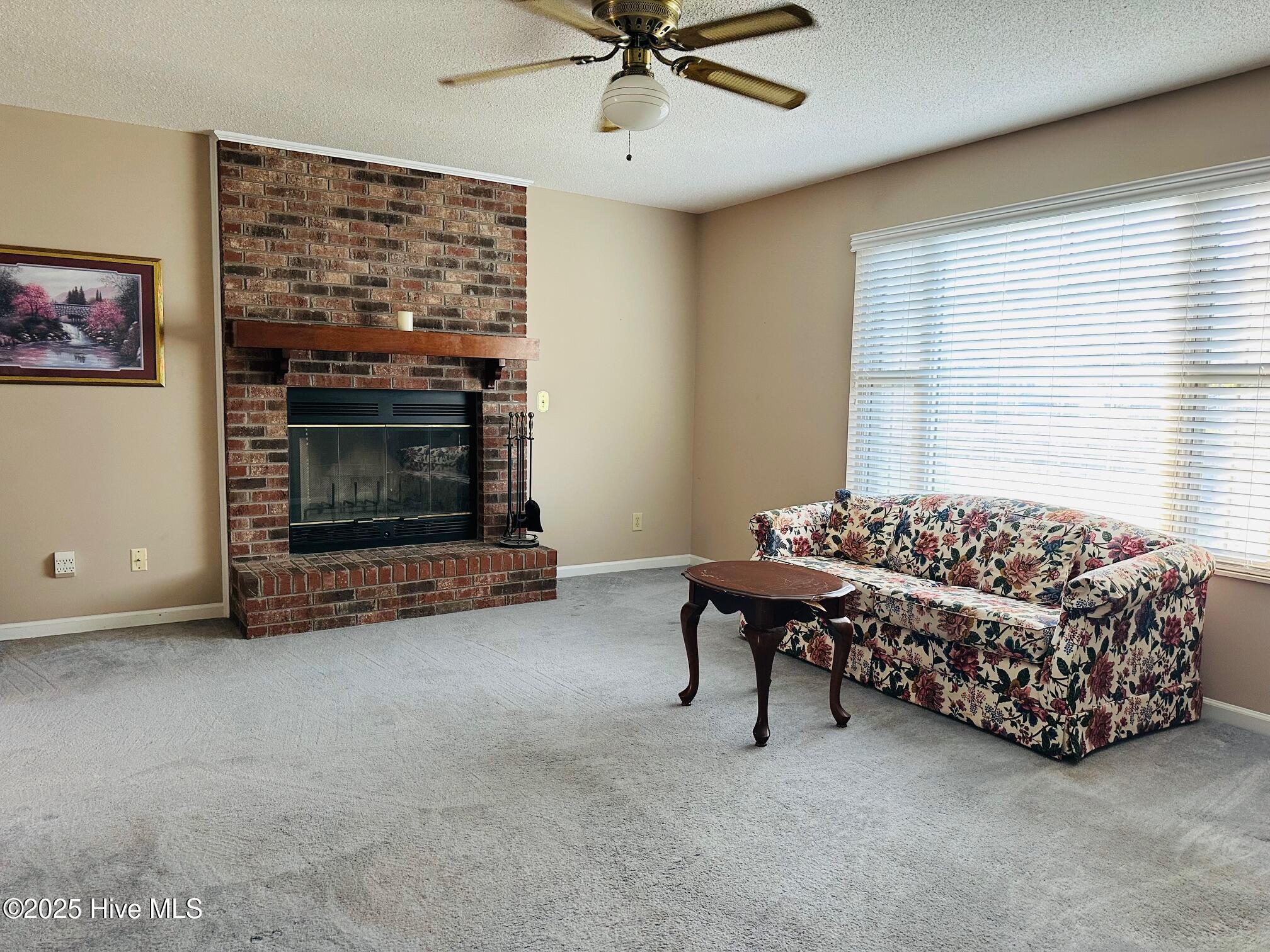 100542135 | Photo 12