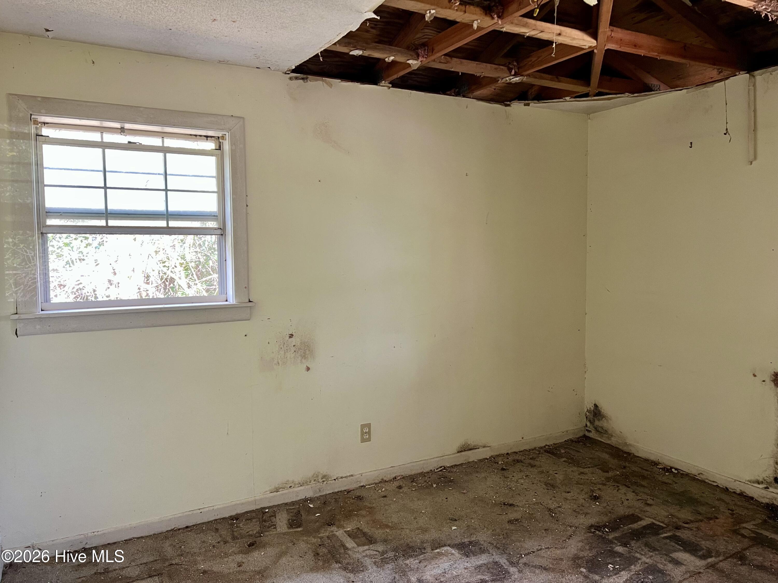 100562853 | Photo 12