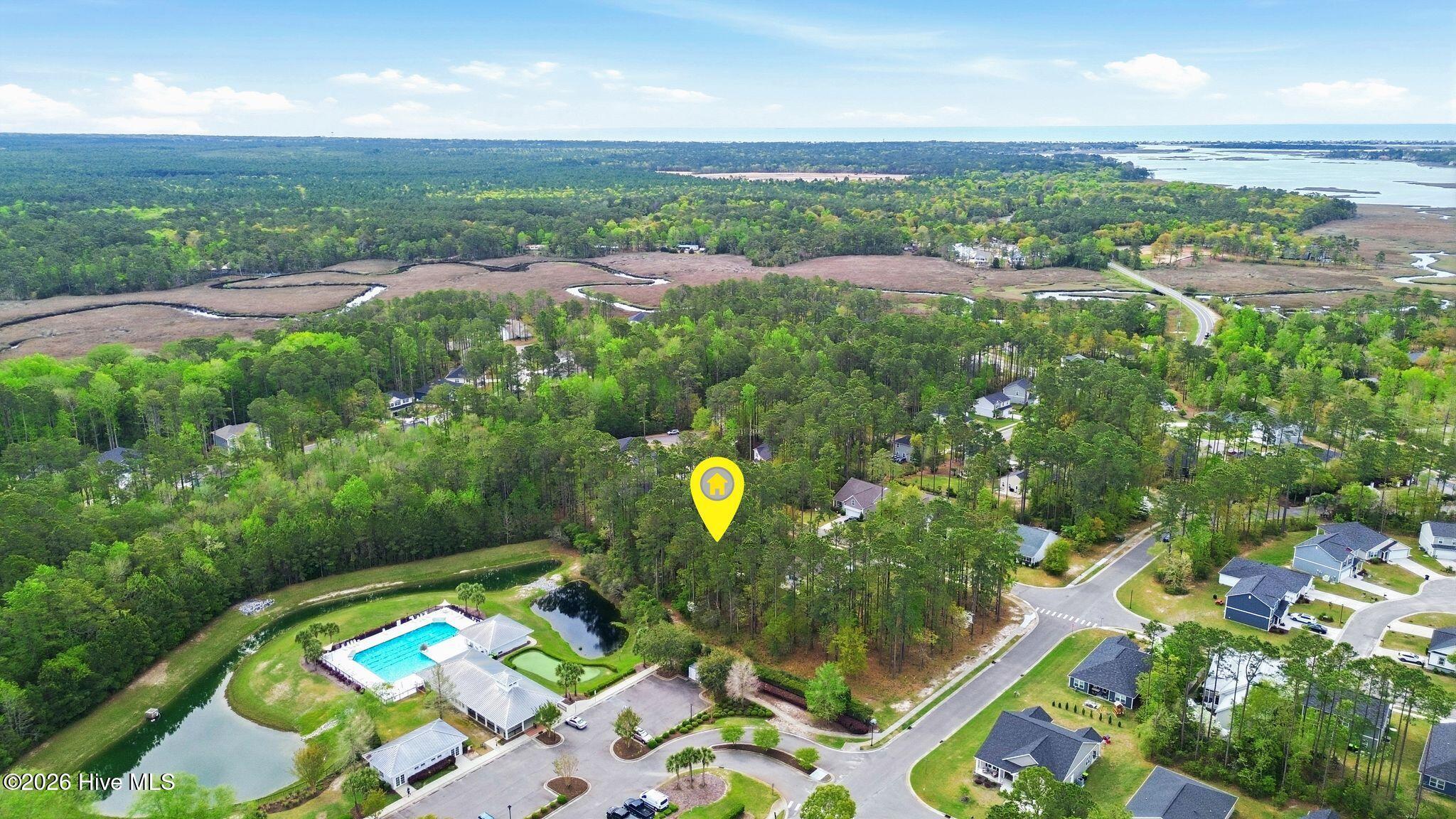 100565267 | Photo 19