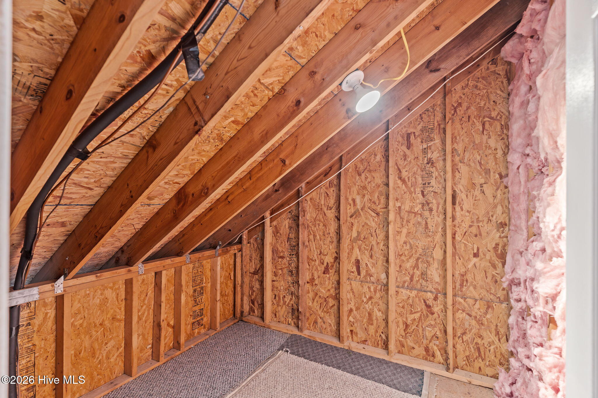 100562796 | Photo 29