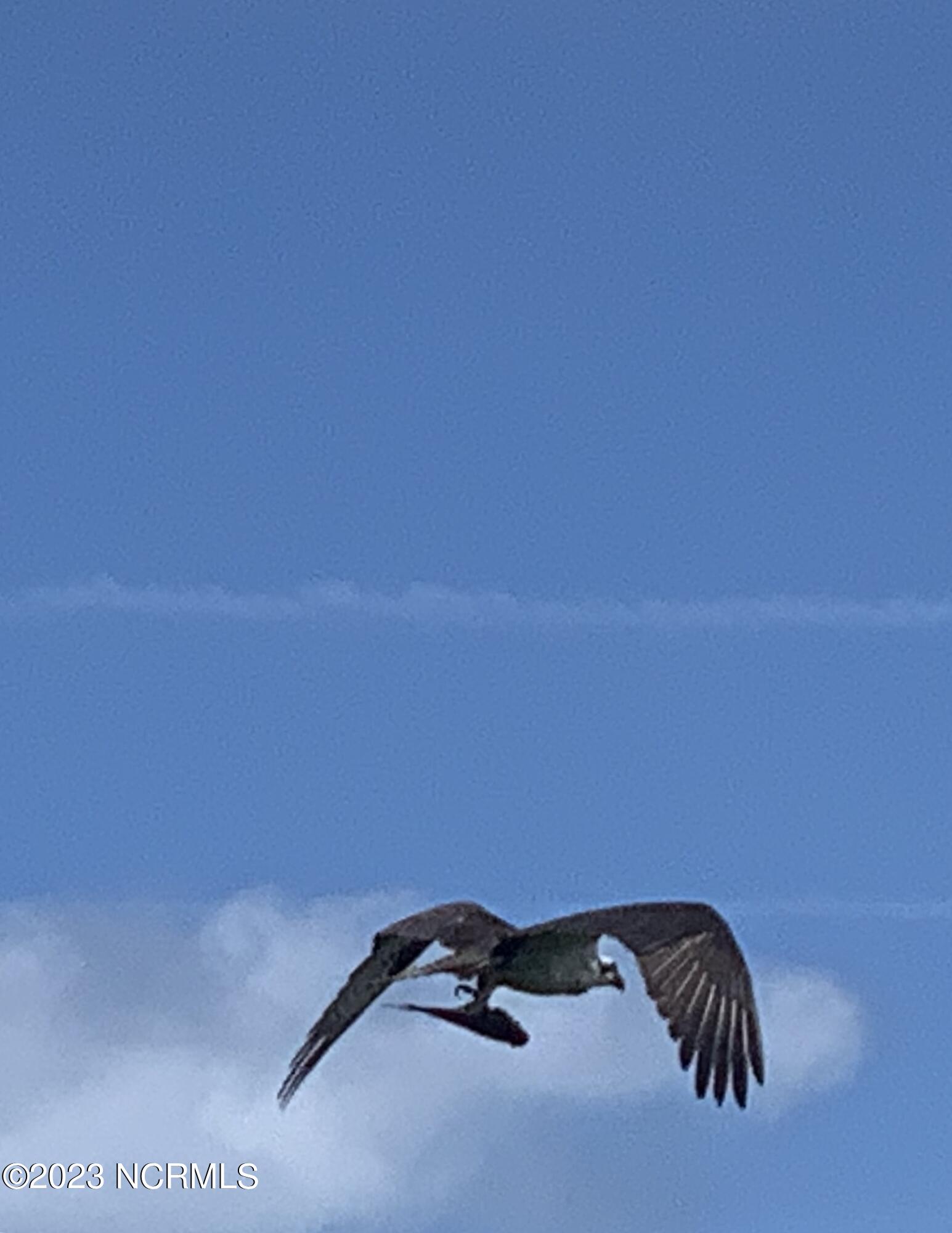 100388234 | Photo 42