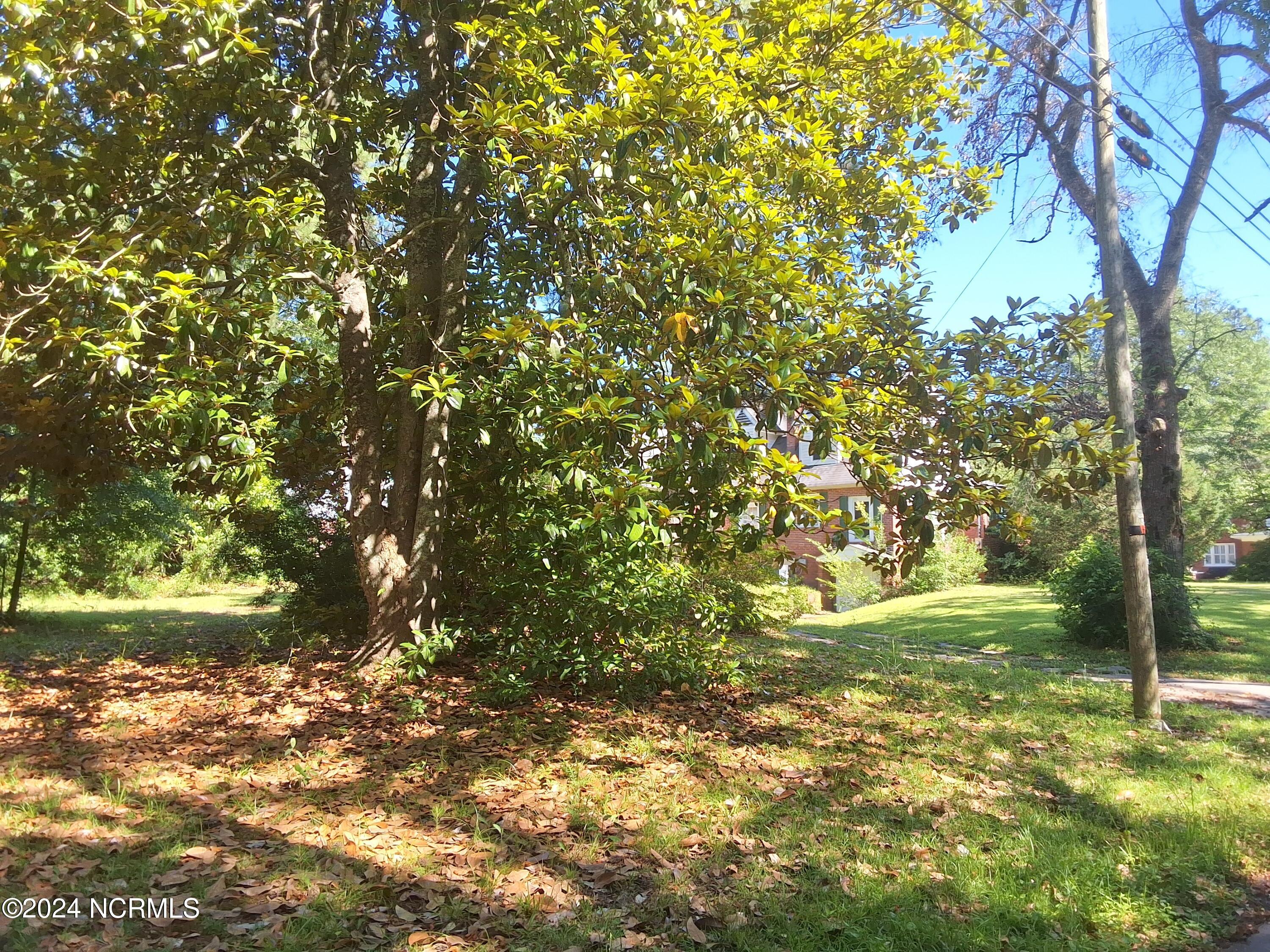 201 E Bell Street, Tabor City, NC, 28463