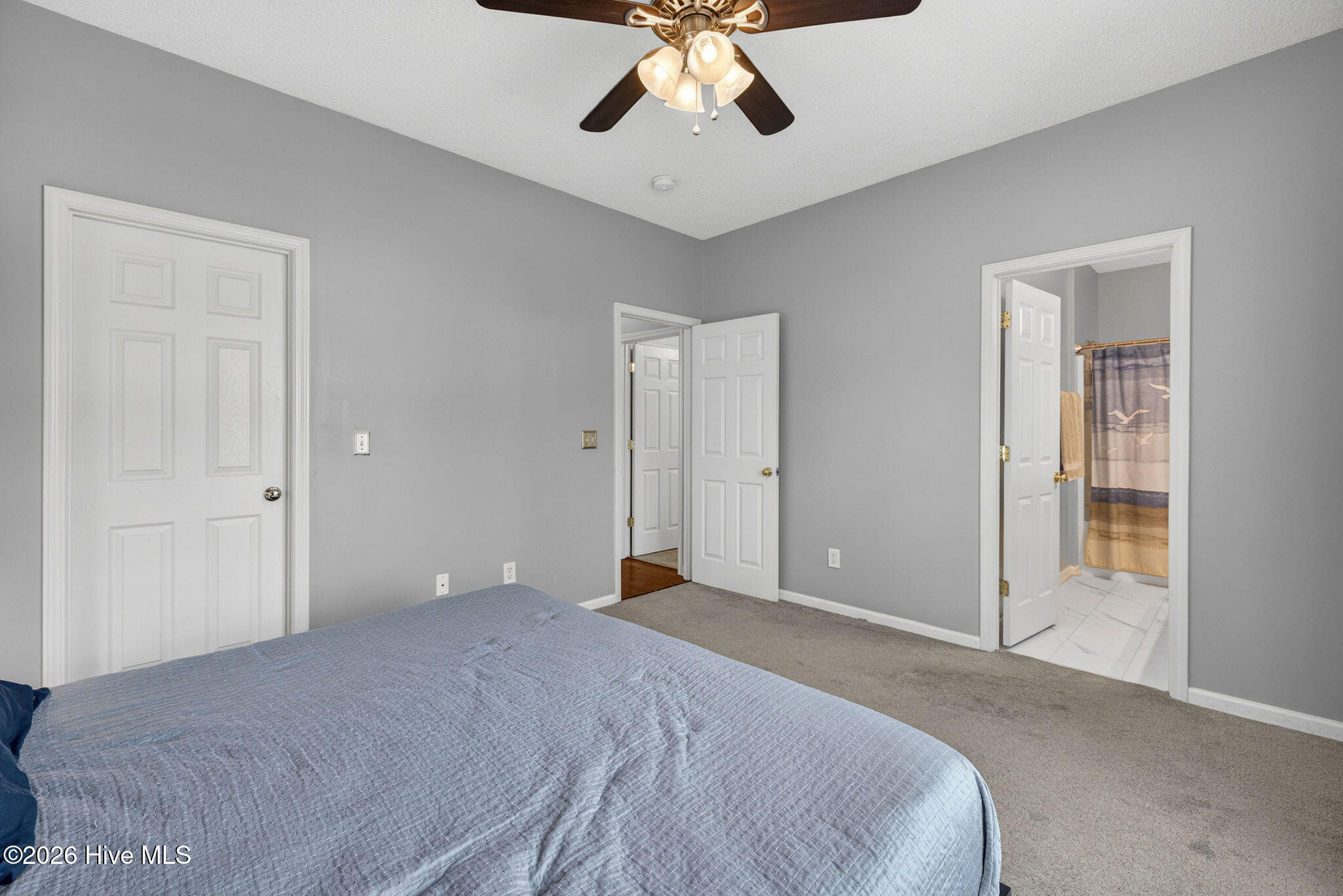 100566327 | Photo 15