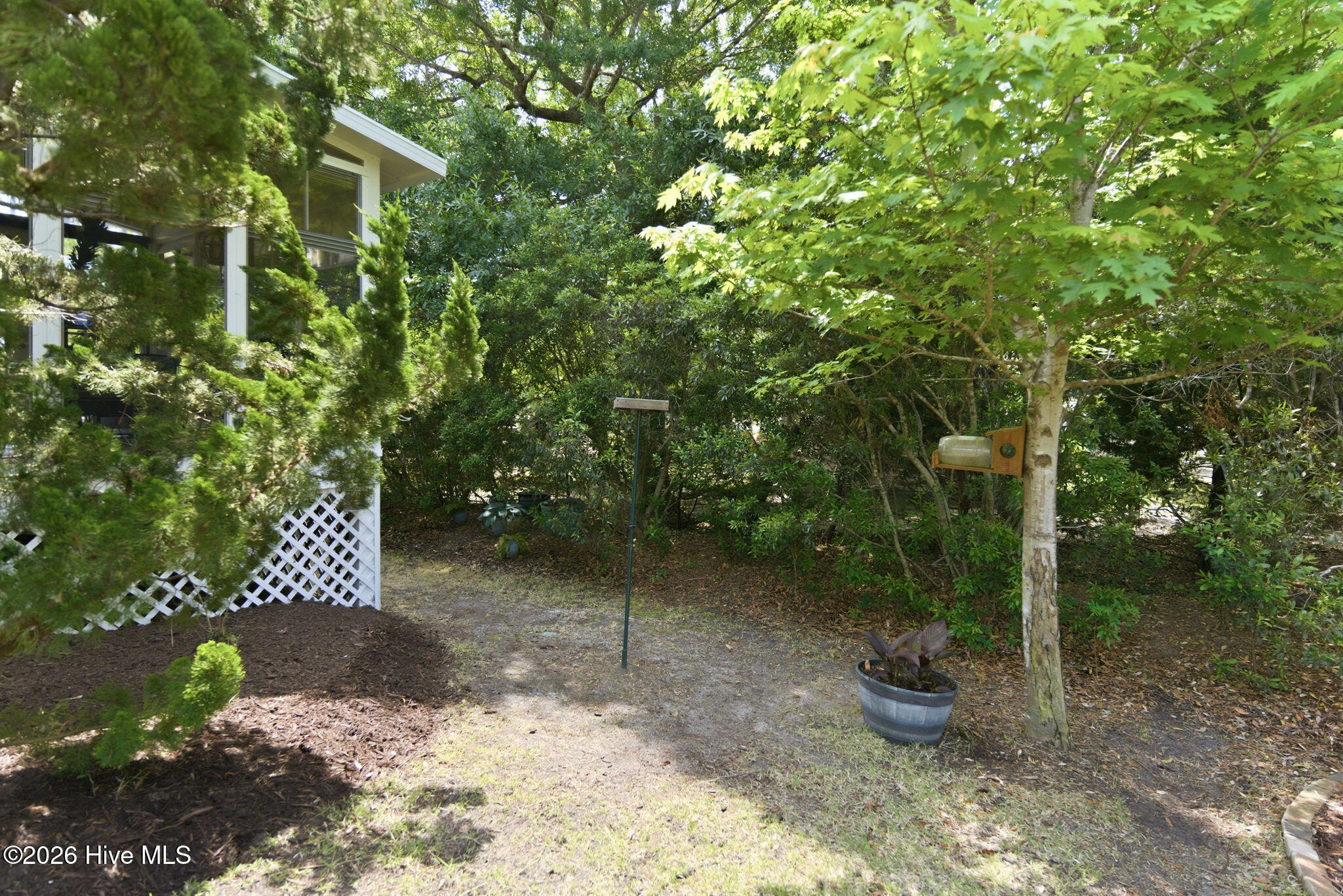 100569602 | Photo 47