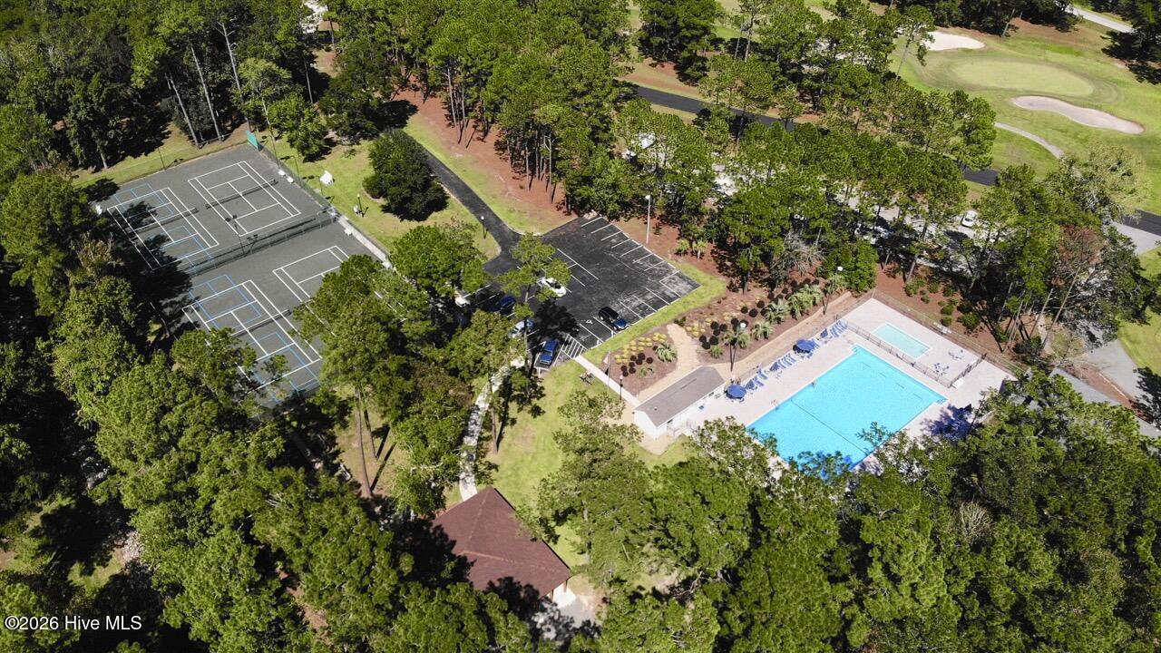 100517176 | Photo 41