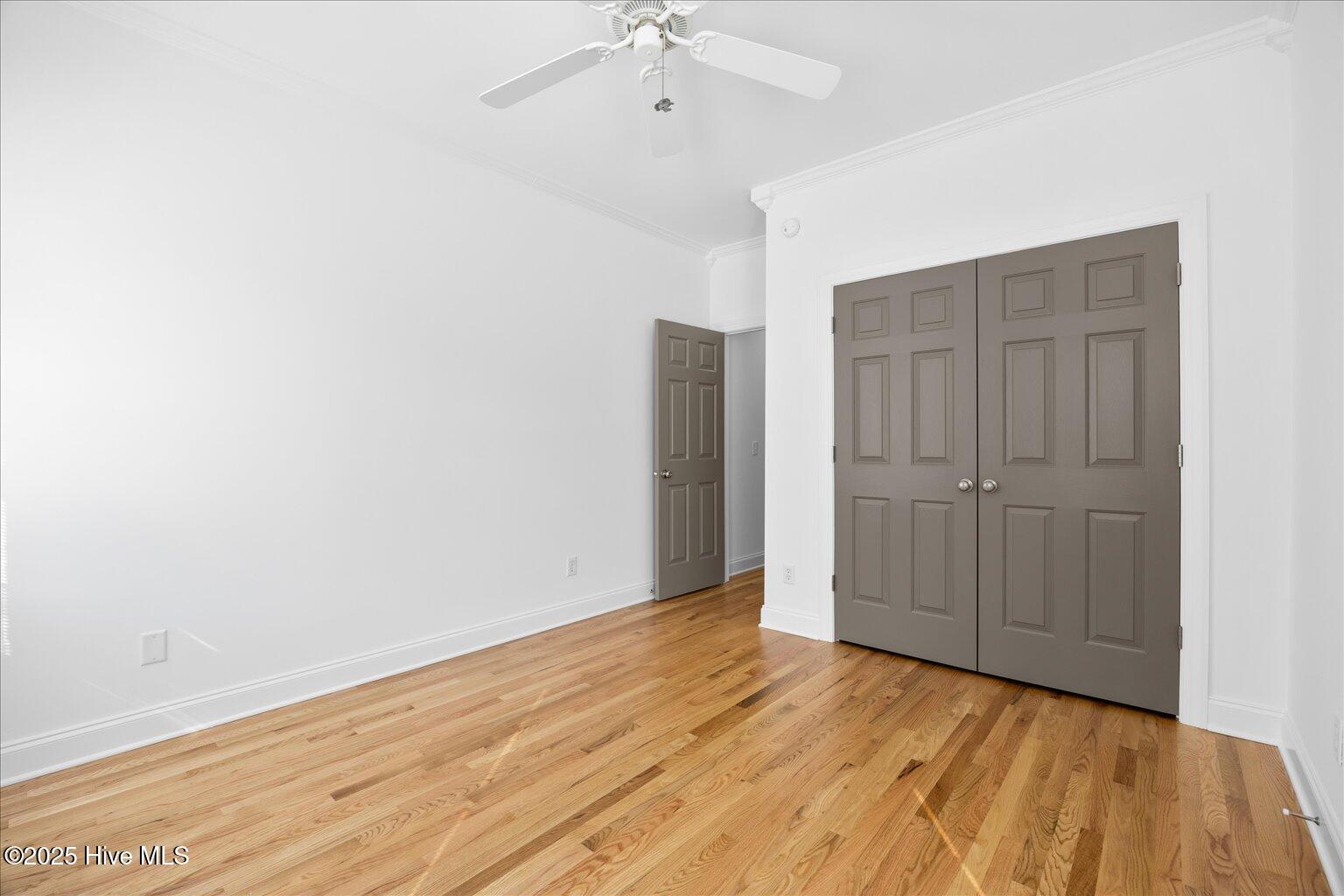 100539645 | Photo 47