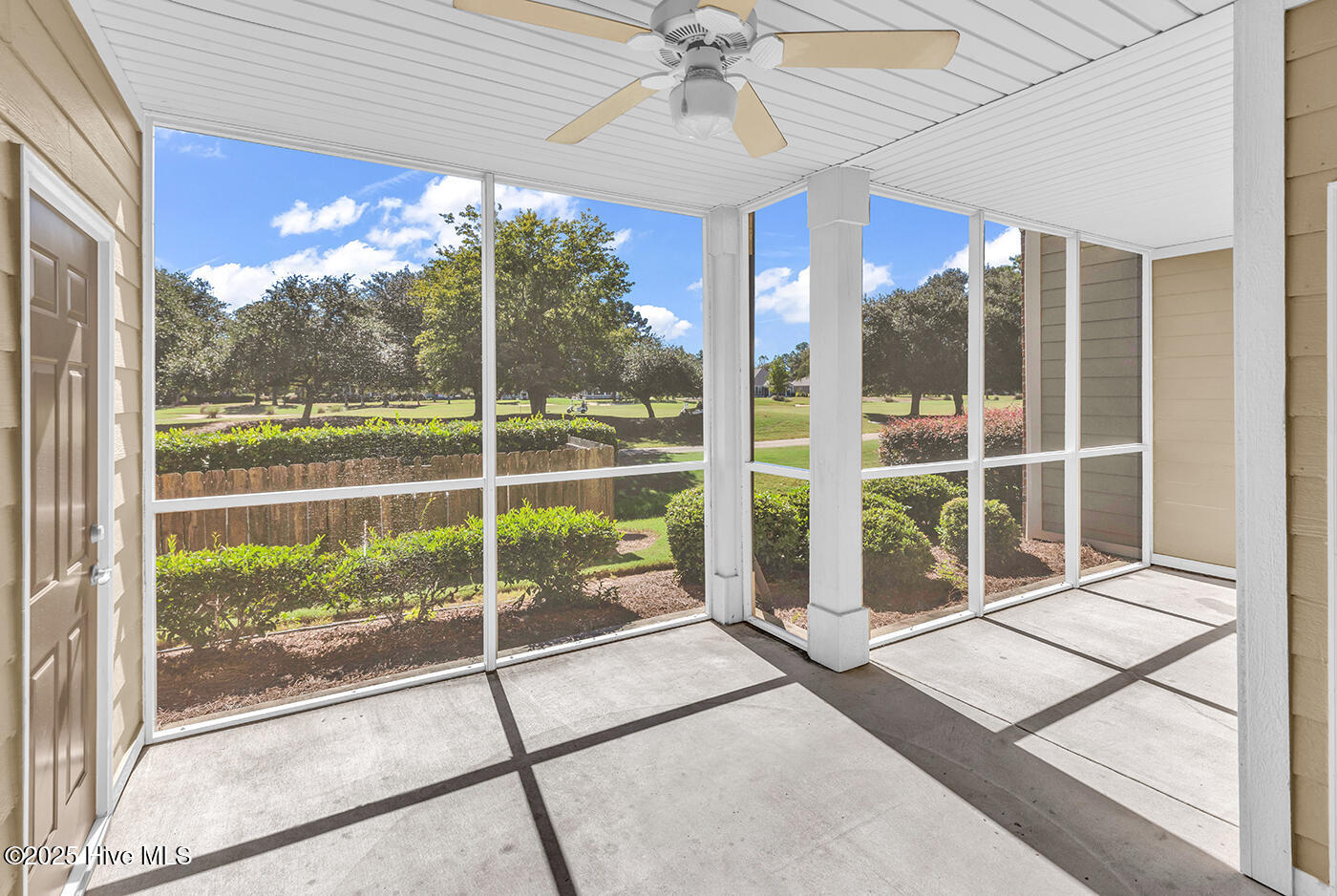 100537491 | Photo 22