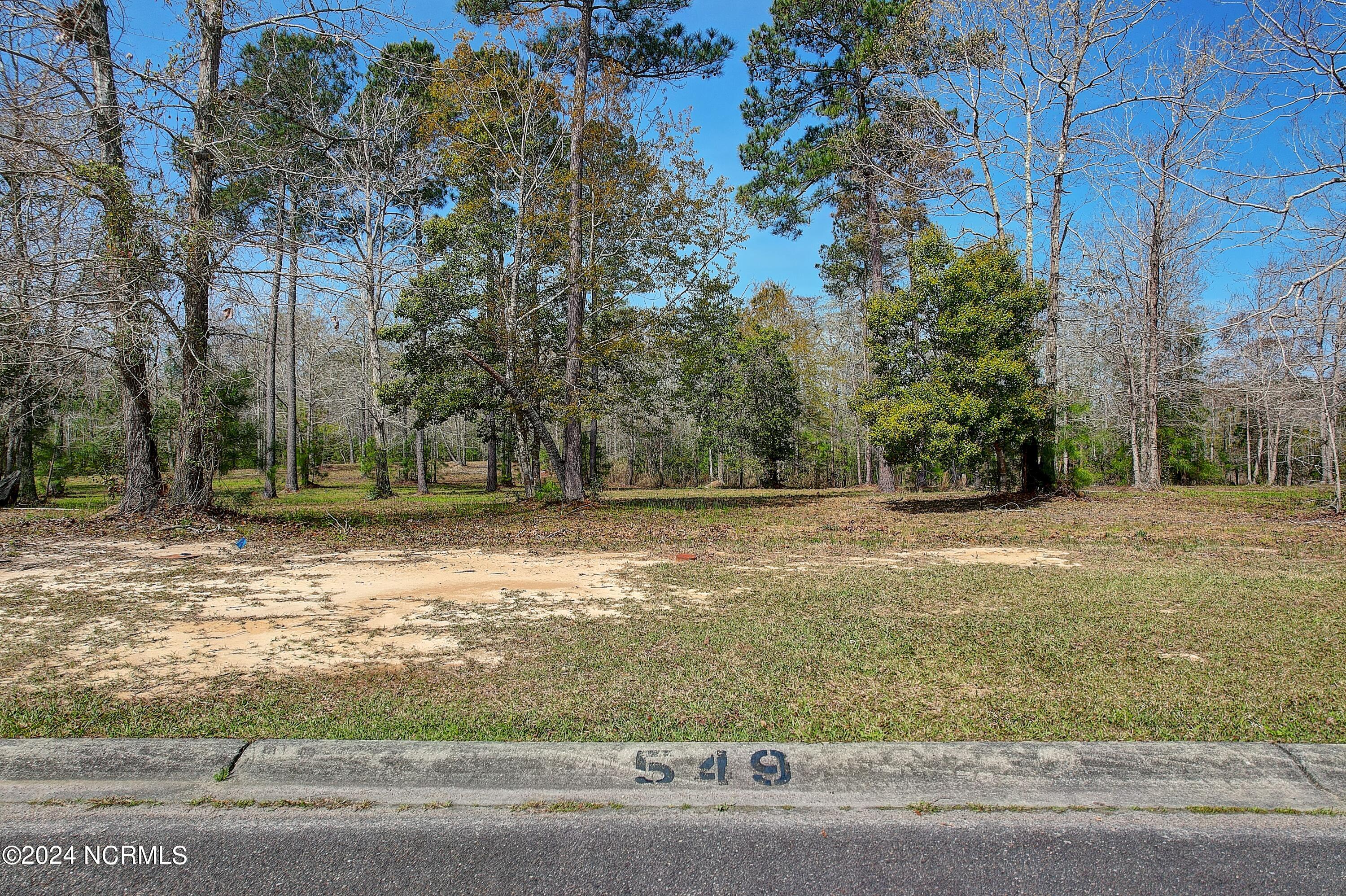549 Sanctuary Point SW, Supply, NC 28462 Listing Photo  3