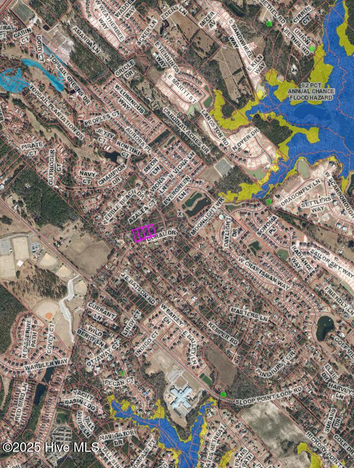 100508819 | Photo 12