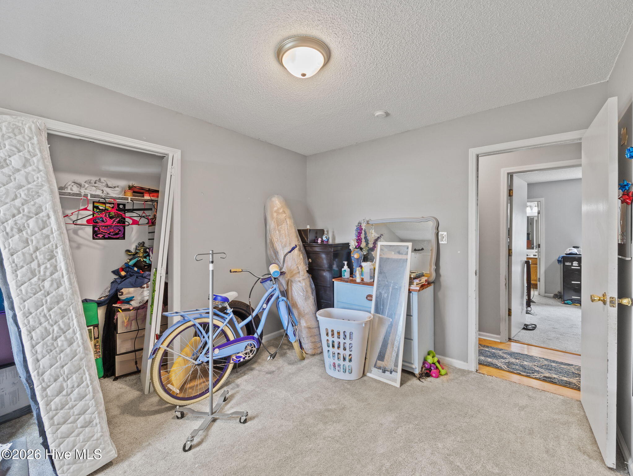 100562262 | Photo 16