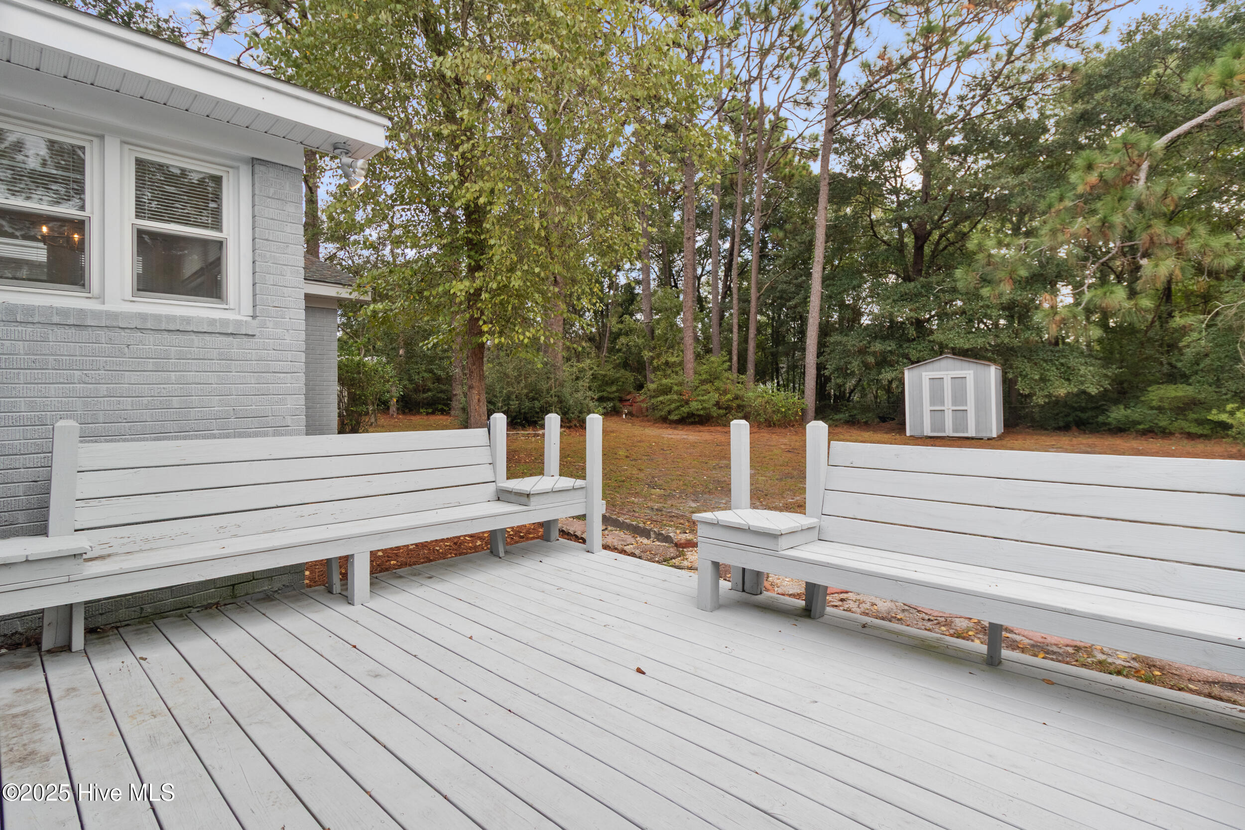 100534171 | Photo 31