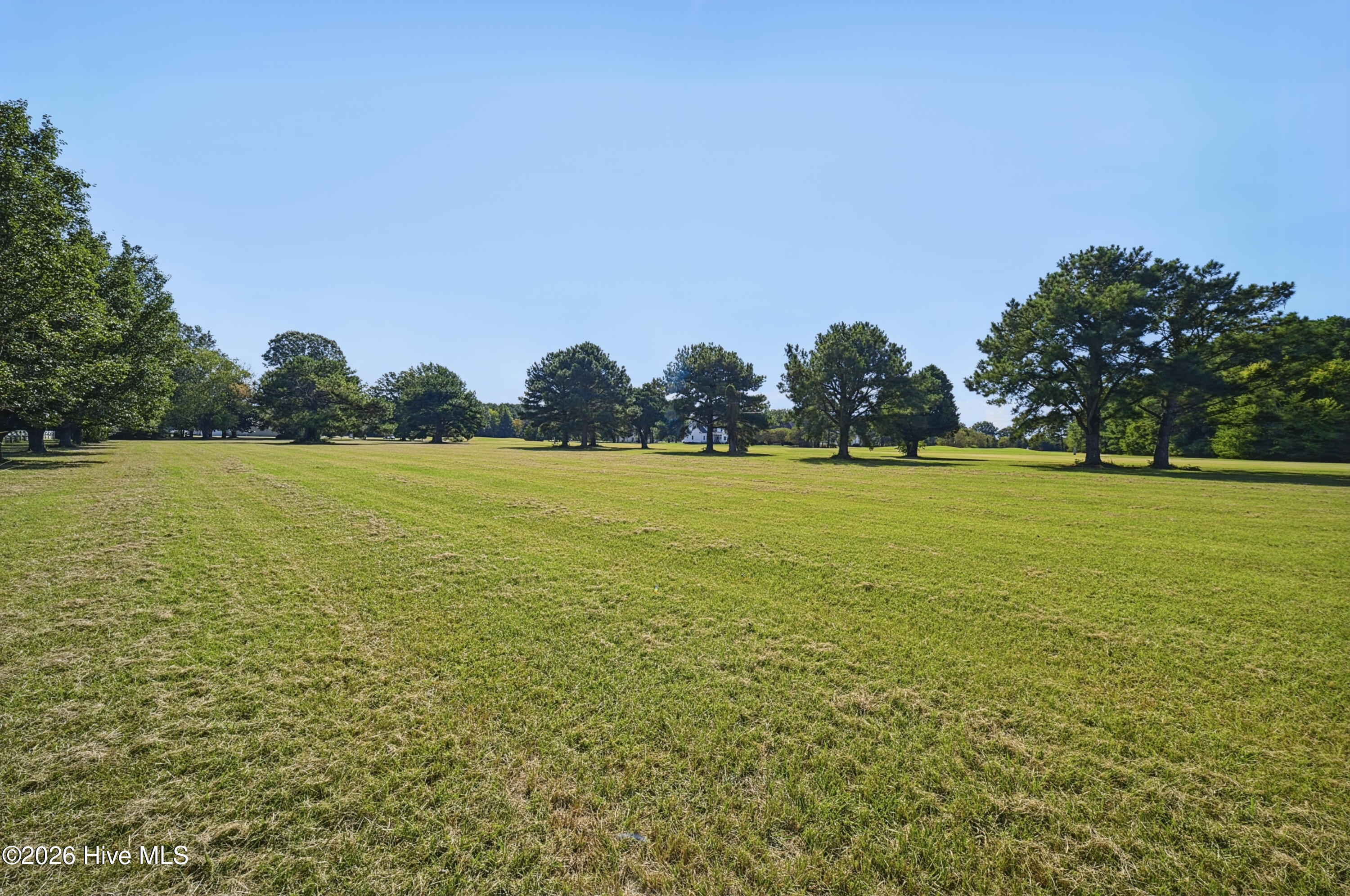 100609038 | Photo 2