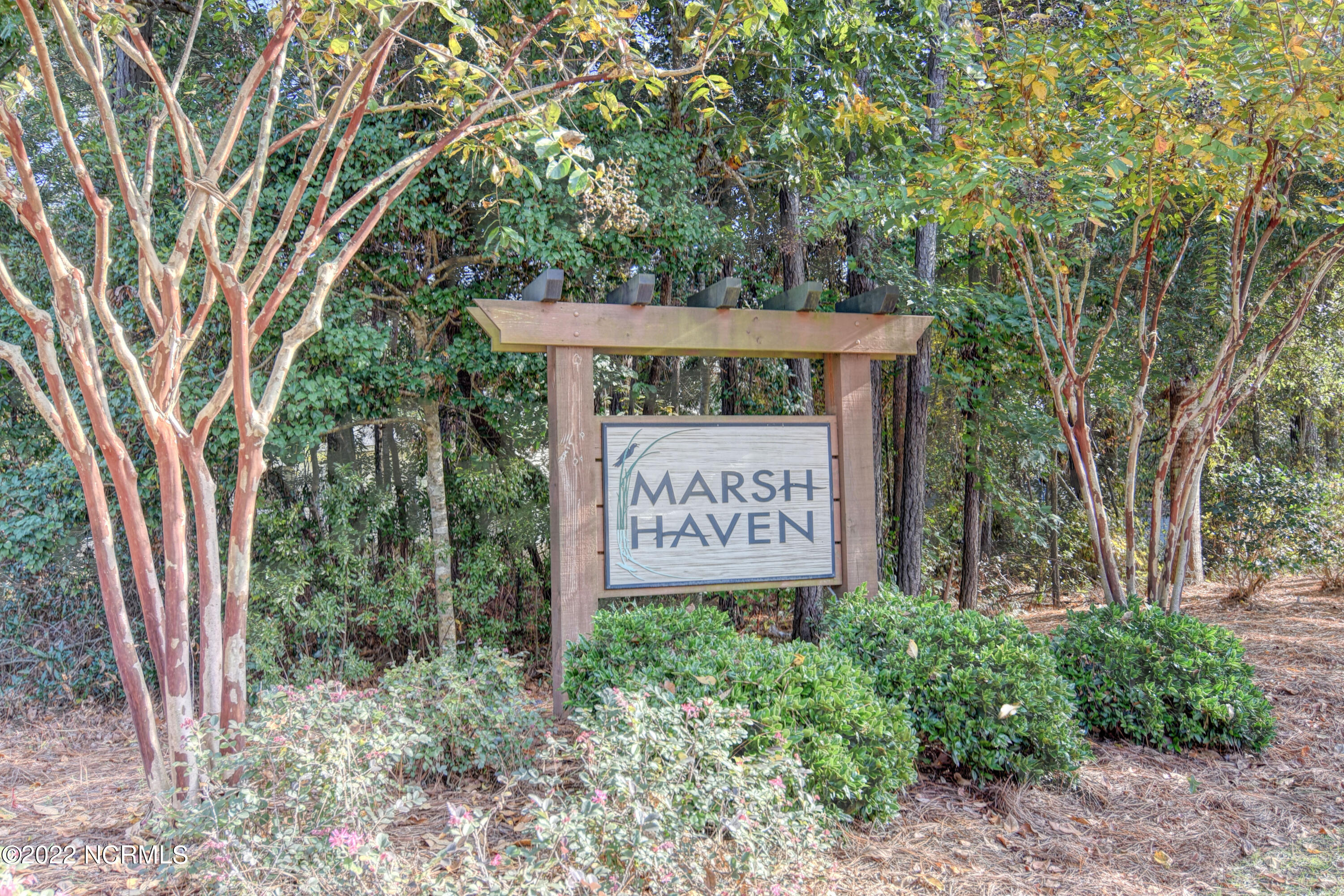 100523727 | Photo 14