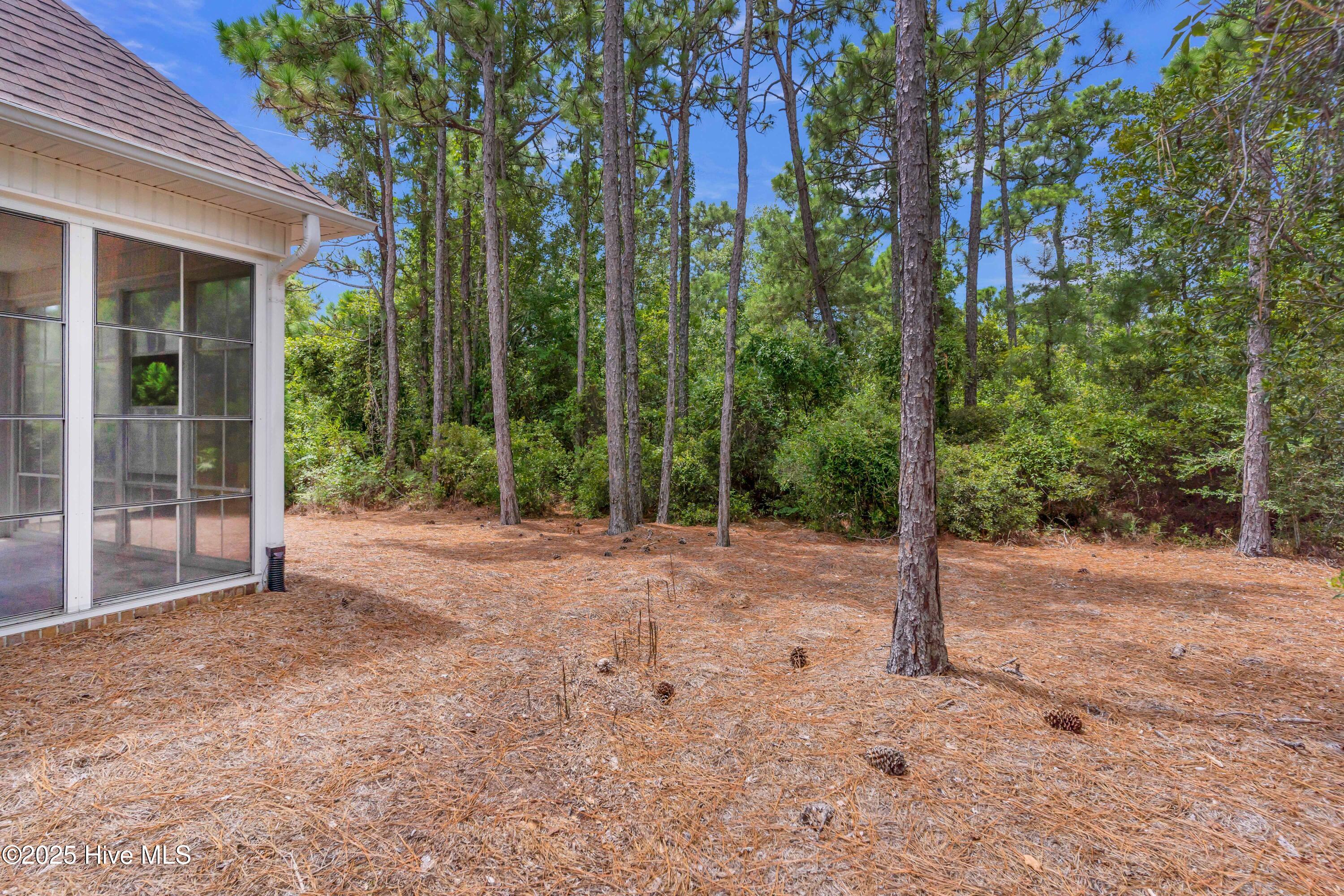 100523896 | Photo 45